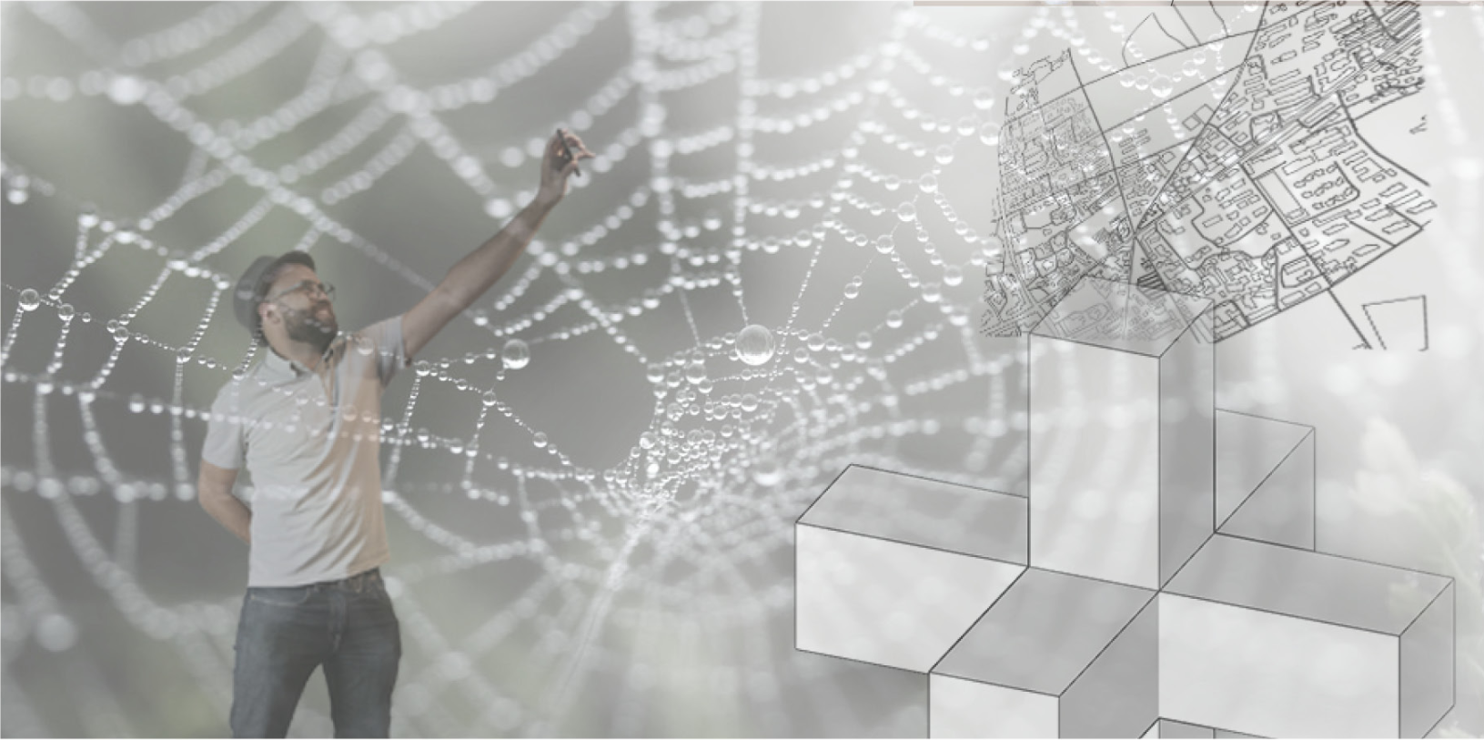 Design inspiration drawn from the geometry of a spider’s web, symbolizing connectivity and spatial adaptation.