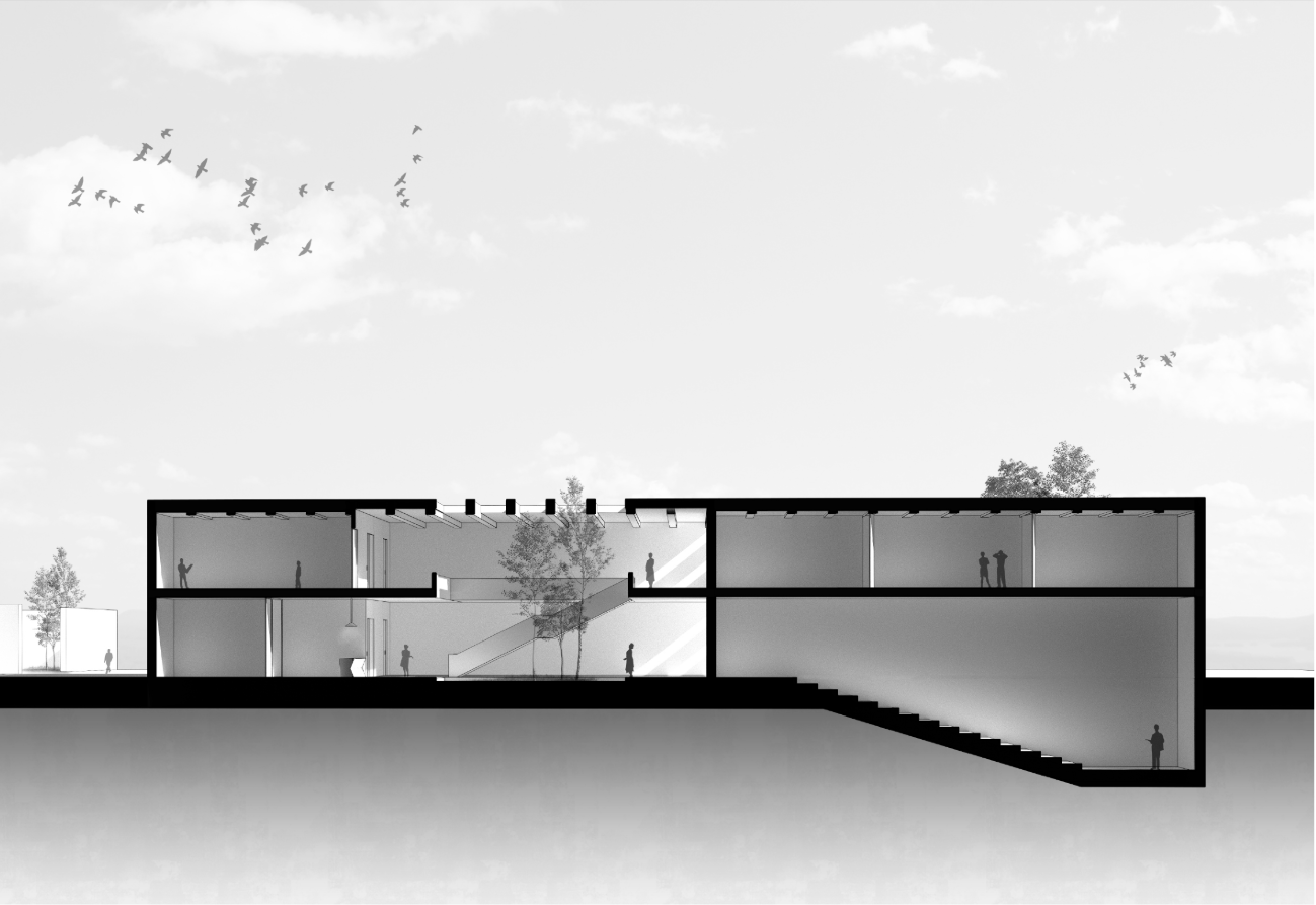 A sectional view highlighting the interplay of circulation, interior courtyards, and naturally lit exhibition spaces.