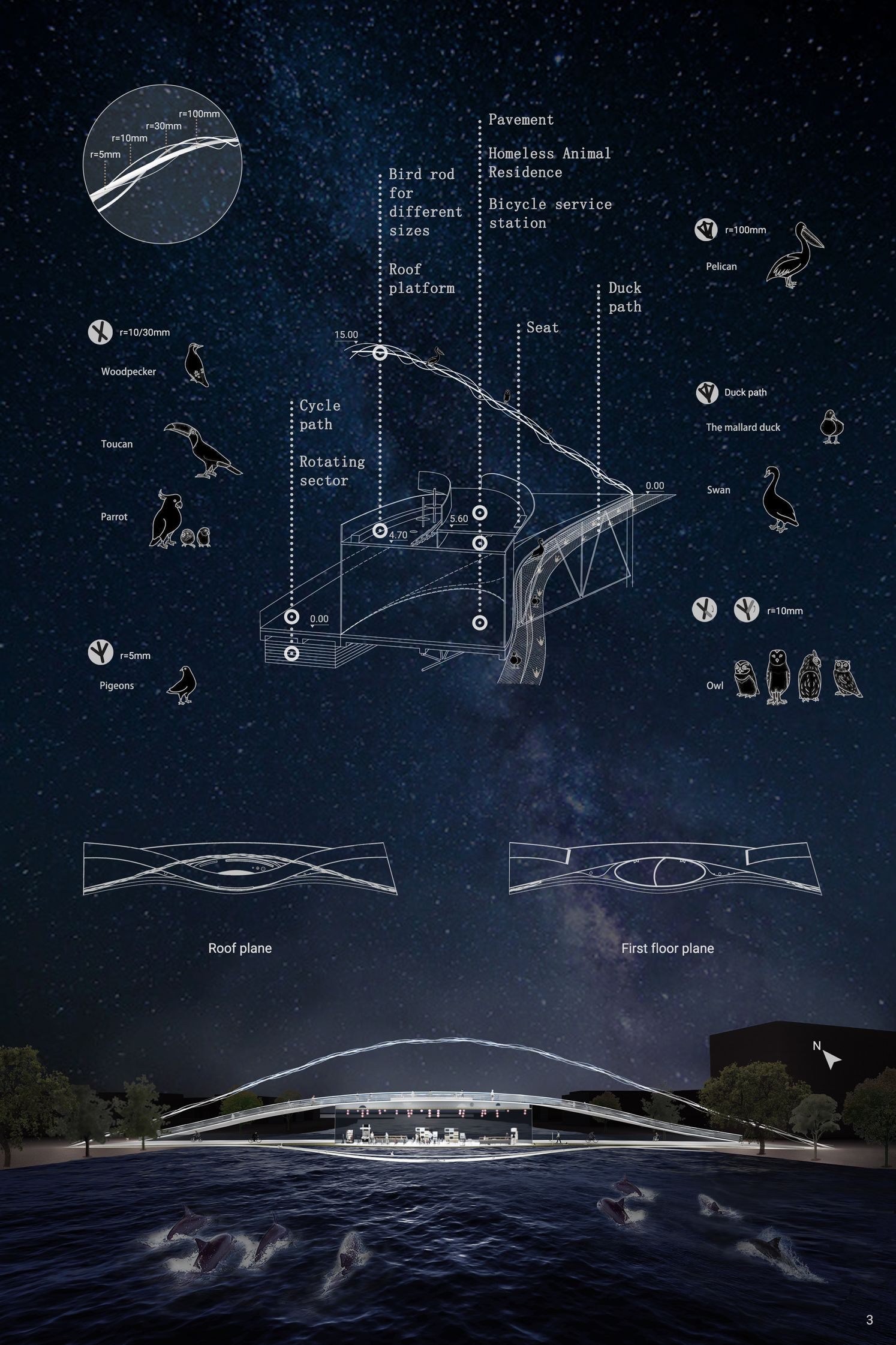 Sectional logic illustrating layered paths for humans, birds, and aquatic species.