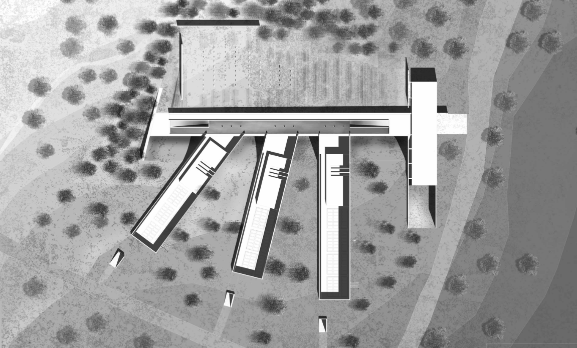 Masterplan illustrating the spatial organization of burial paths embedded within the landscape.