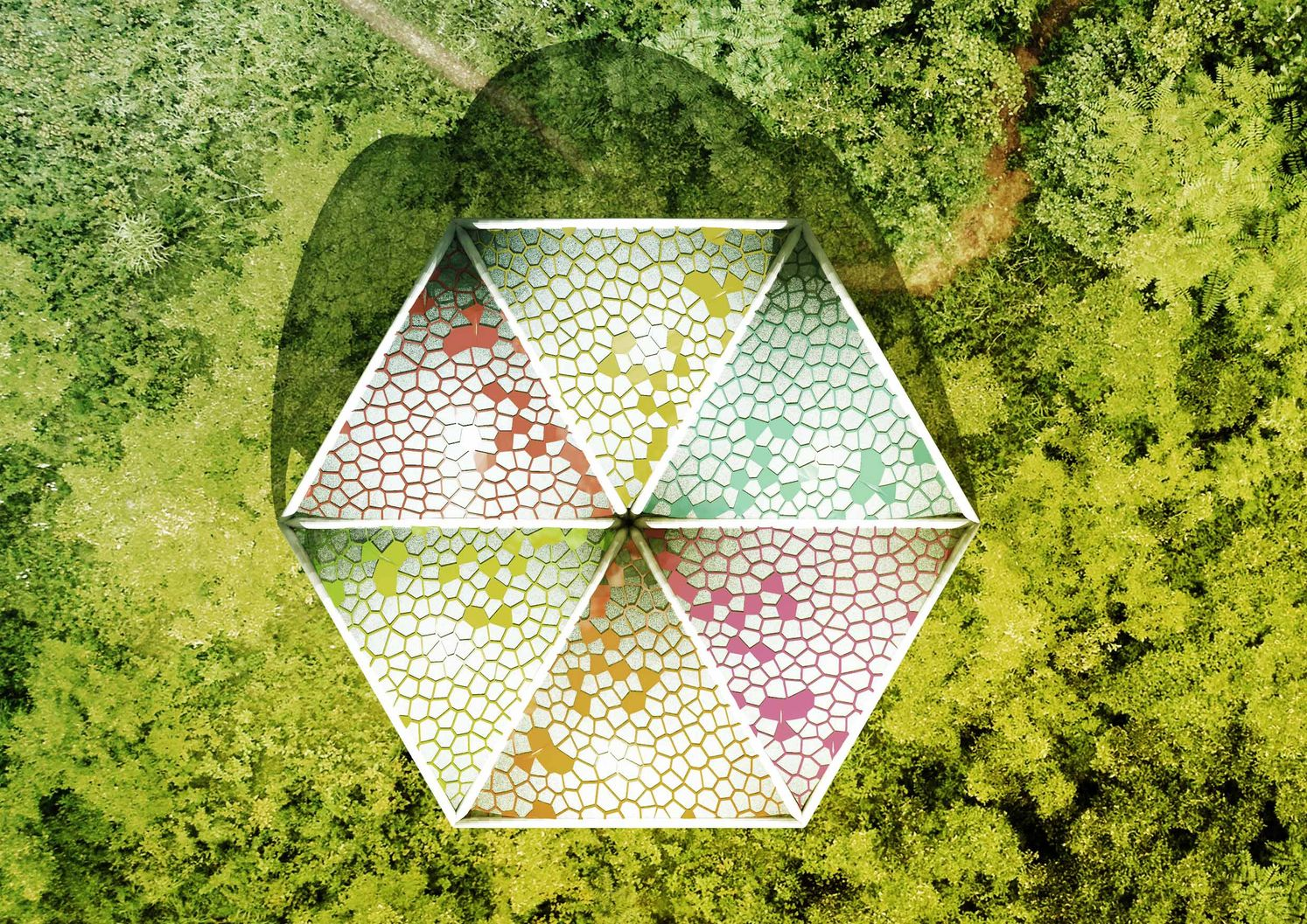 Hexagonal modular geometry defining spatial organization and color variation from an aerial perspective.