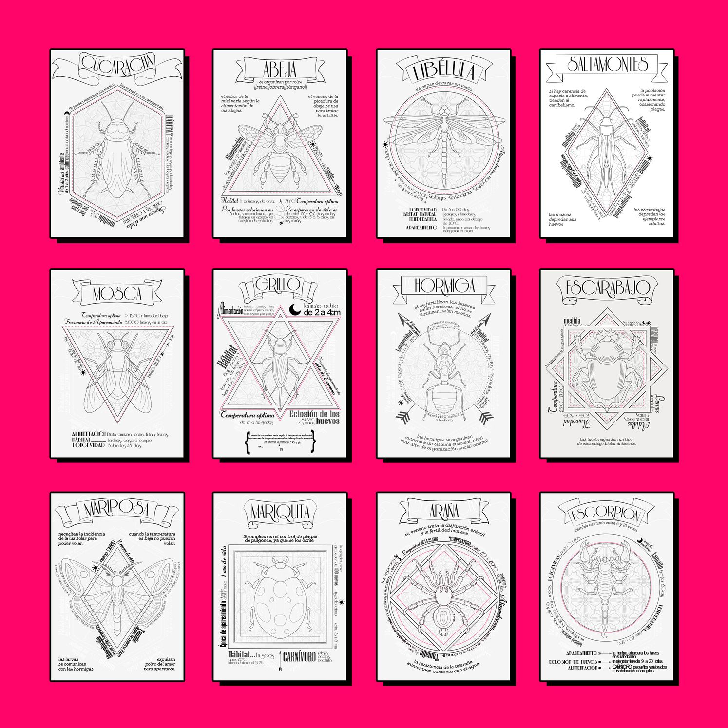 Grid of twelve framed insect illustration cards with geometric borders displayed against a magenta wall