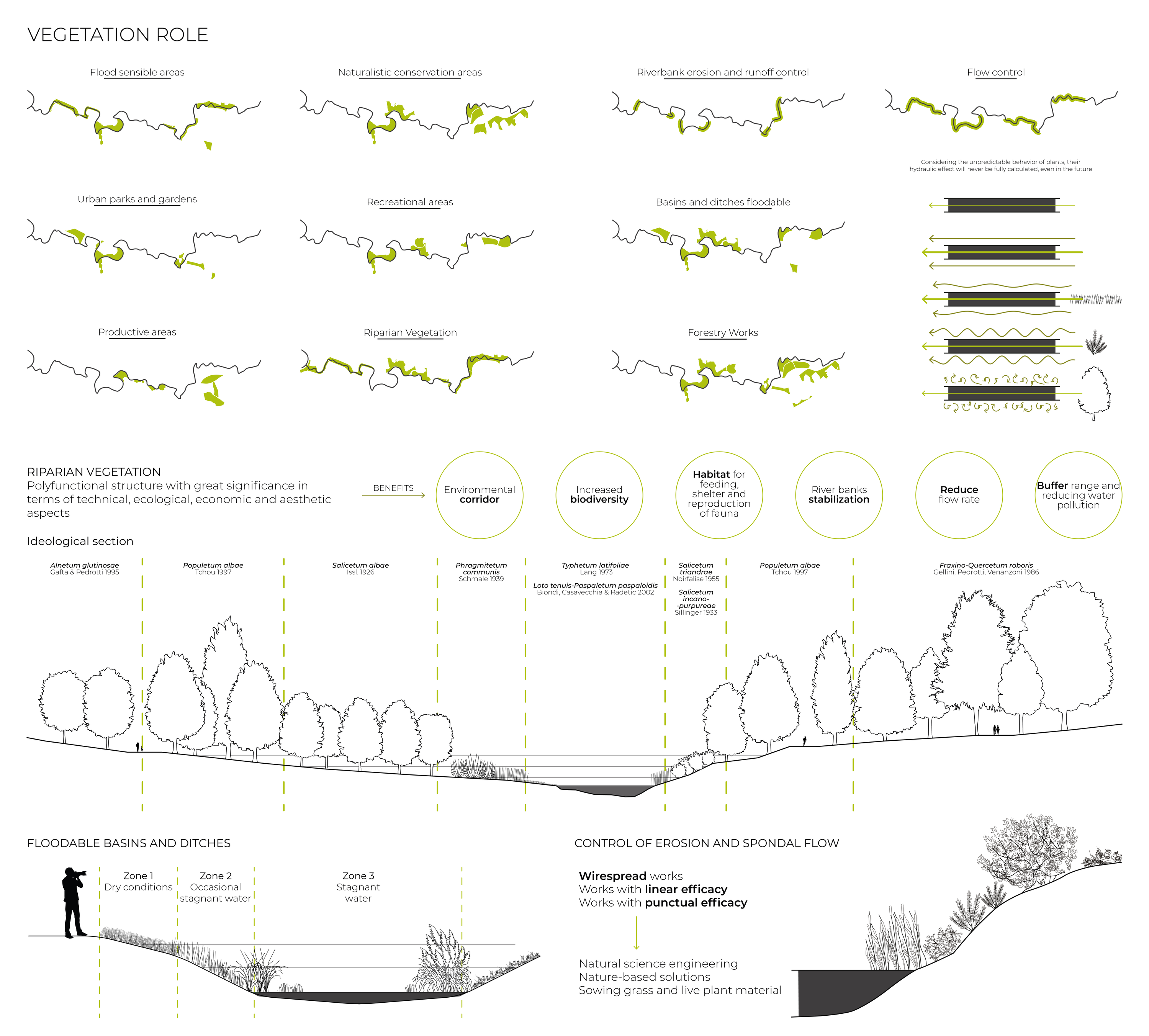 Diagram illustrating riparian vegetation roles with plan maps, section drawings, and flood control strategies along a waterway
