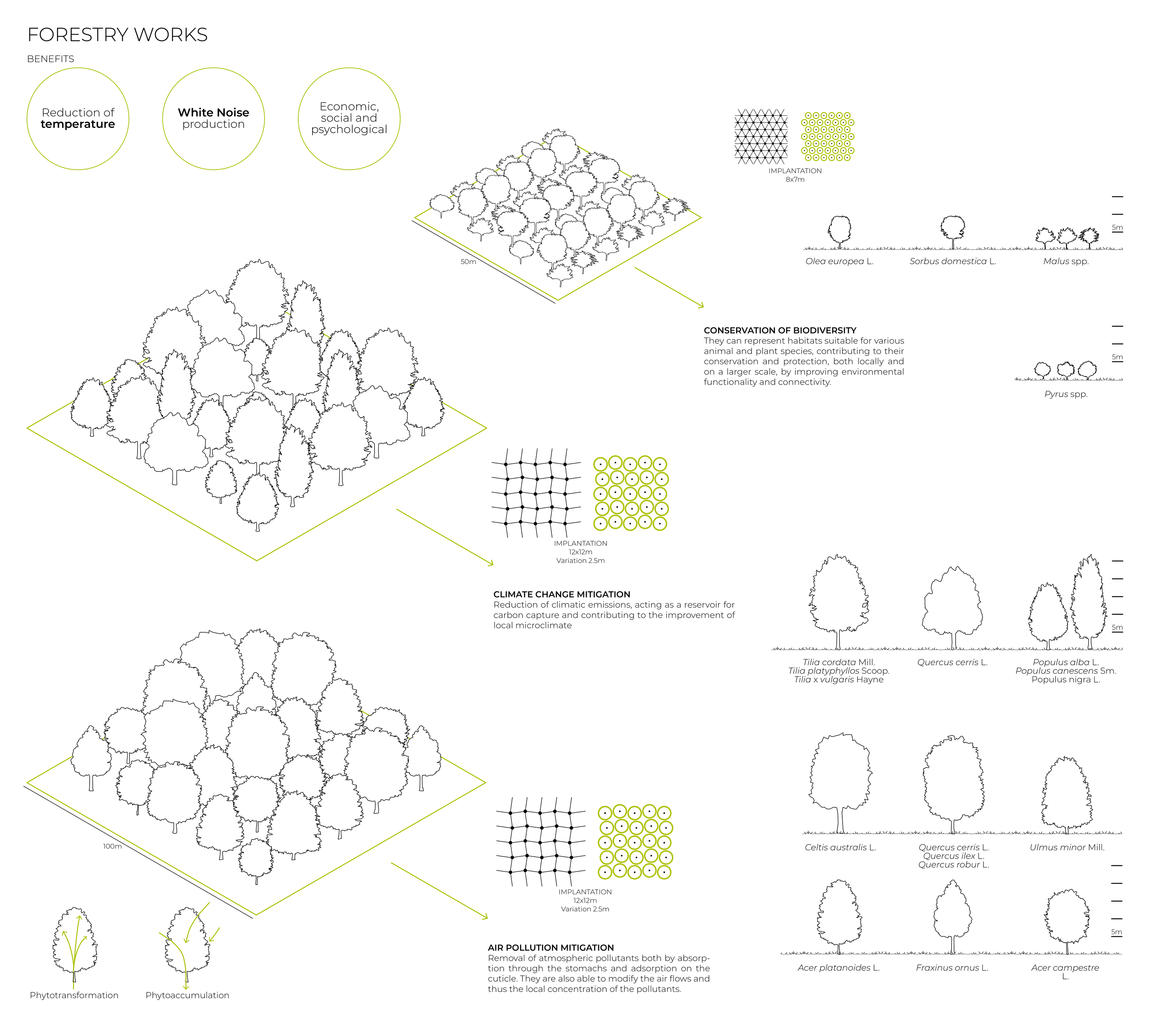 Isometric diagrams explaining forestry strategies with tree canopy arrangements, planting grids, and species elevation drawings