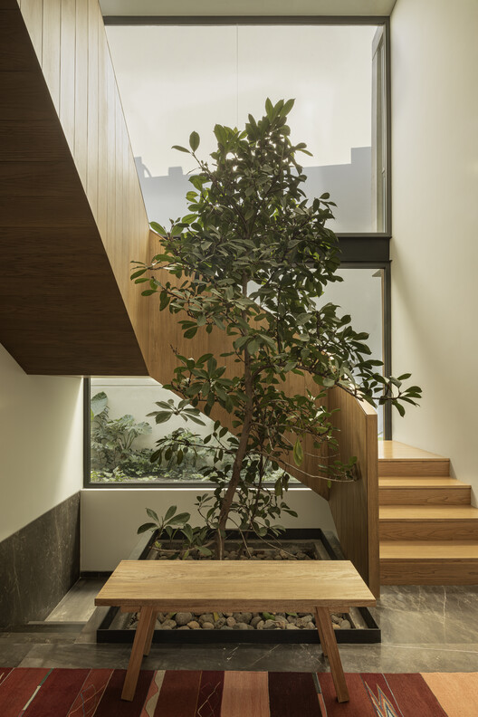 Interior stairwell with planted tree in gravel bed beside timber stairs under skylight