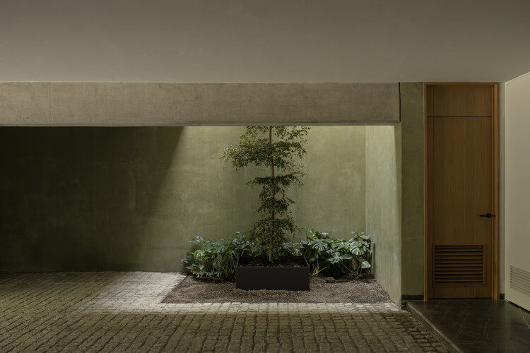 Interior planting alcove with a single tree and shrubs beneath a concrete beam in low light