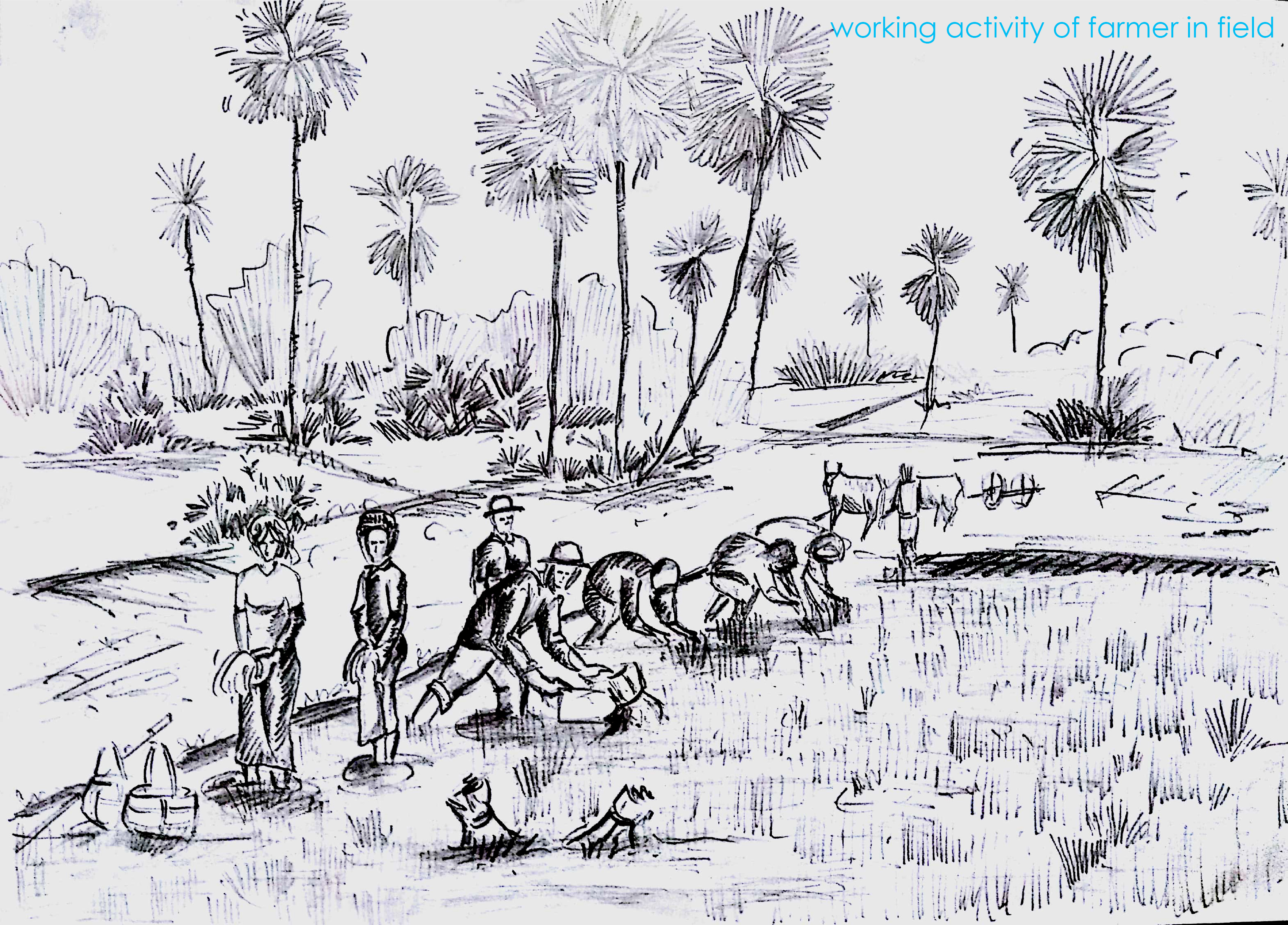 Daily agricultural practices shaping the rural landscape and sustaining local livelihoods.