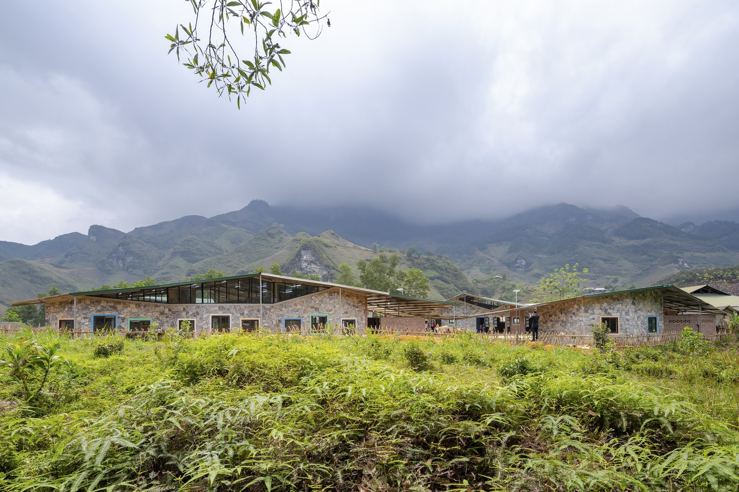 Long stone facade with timber-framed clerestory windows extending across a field of ferns under cloudy skies