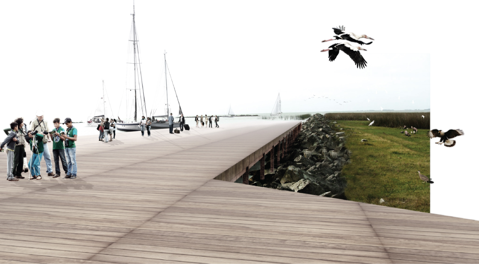 Harbor deck as a shared interface between water, landscape, and visitors, balancing recreation with environmental sensitivity.