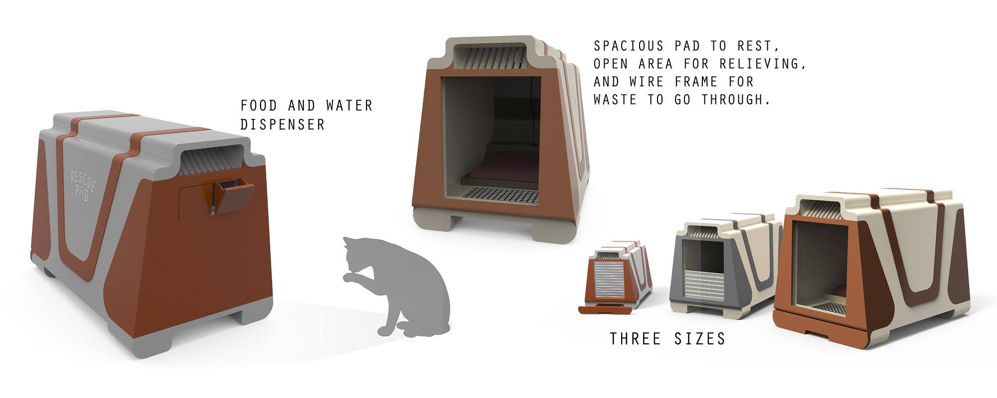 Stray animals occupying unsafe residual urban spaces without shelter.