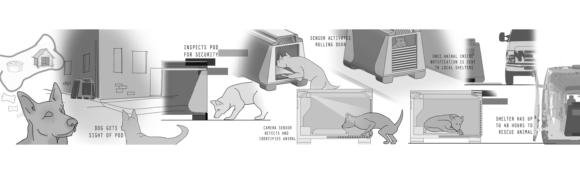 Global and regional statistics highlighting the scale of stray animal populations.