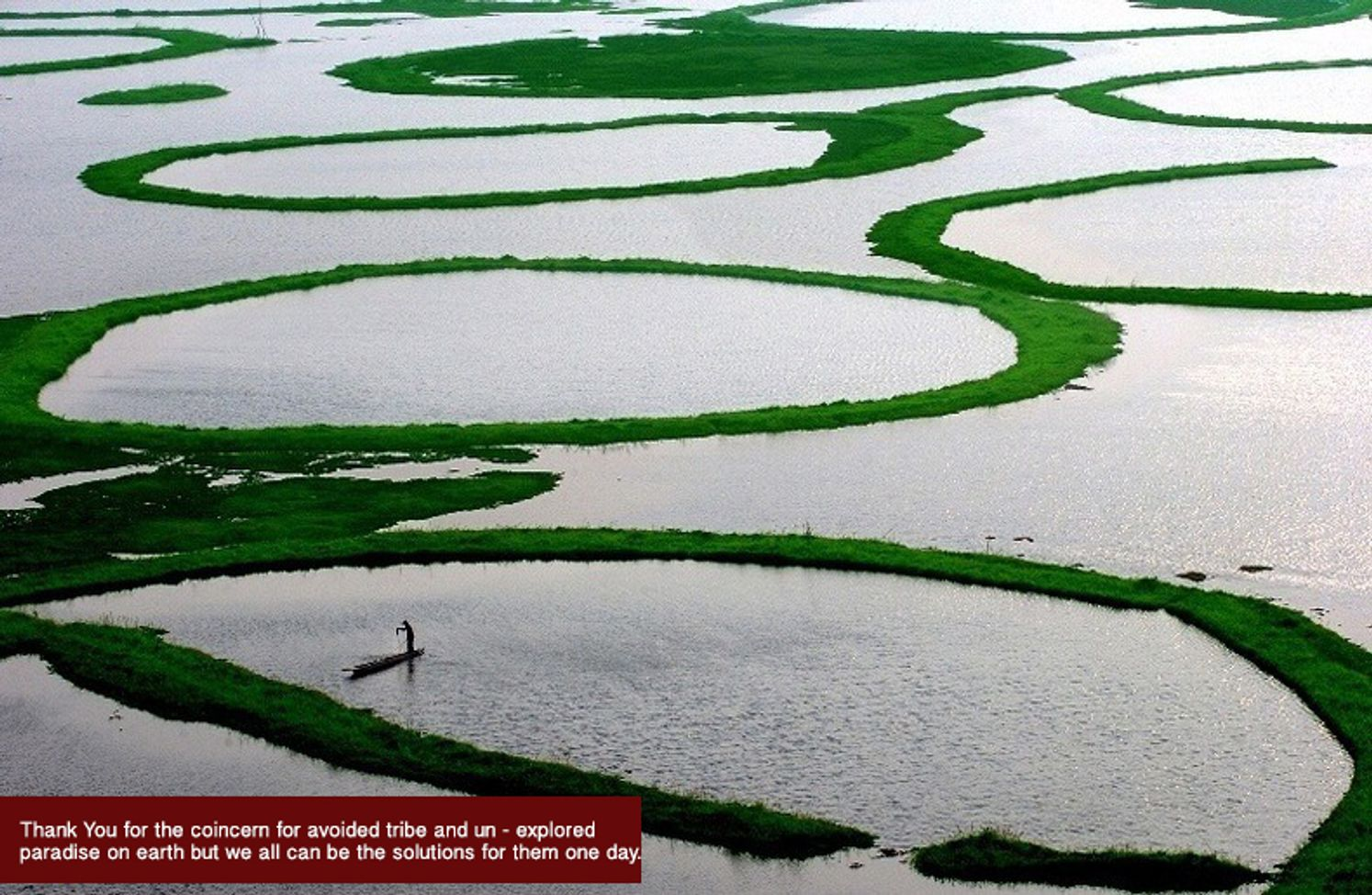 Floating phumdis forming the unique living landscape of Loktak Lake, Manipur.