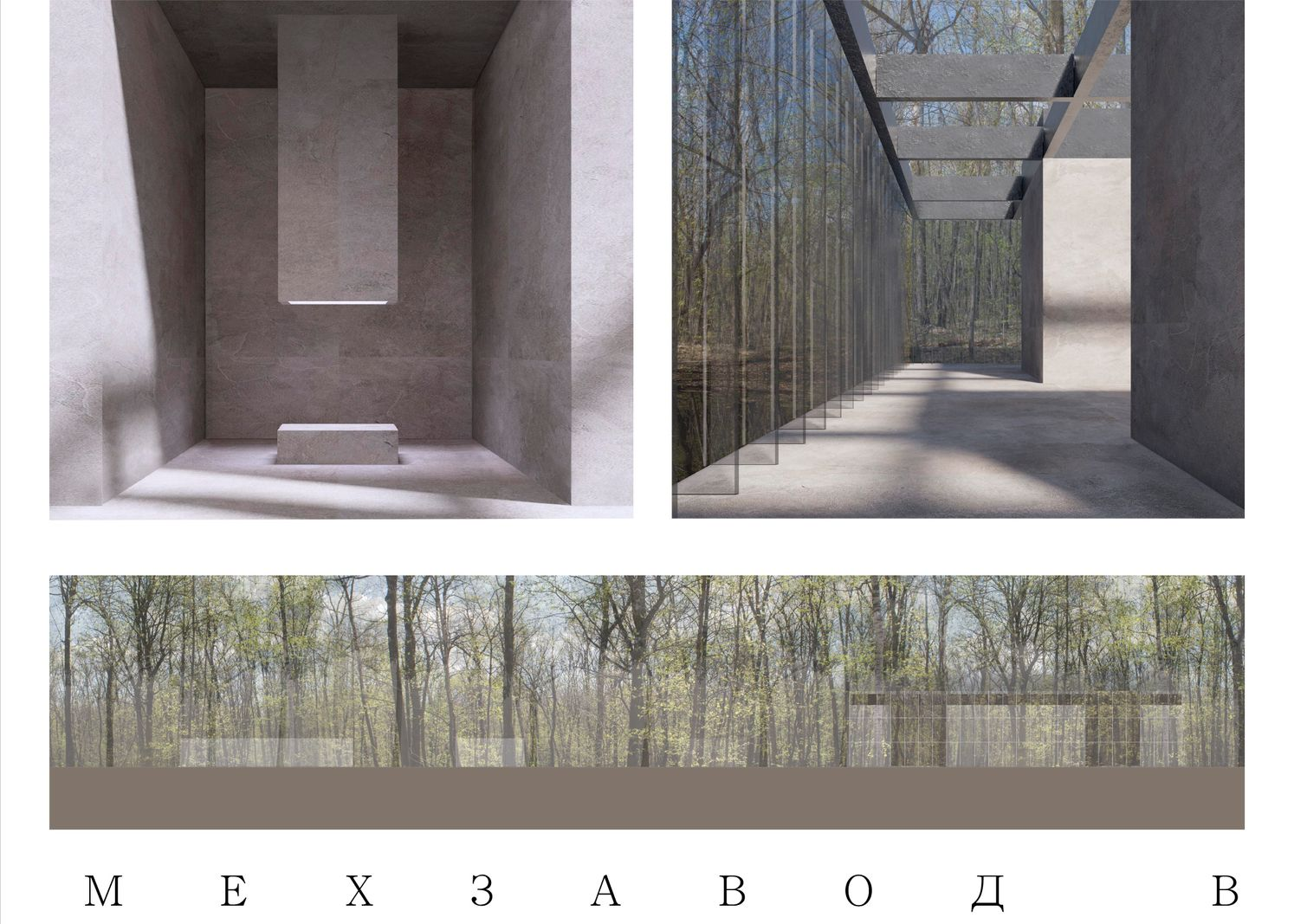 Longitudinal elevation revealing the building’s horizontal integration with nature.