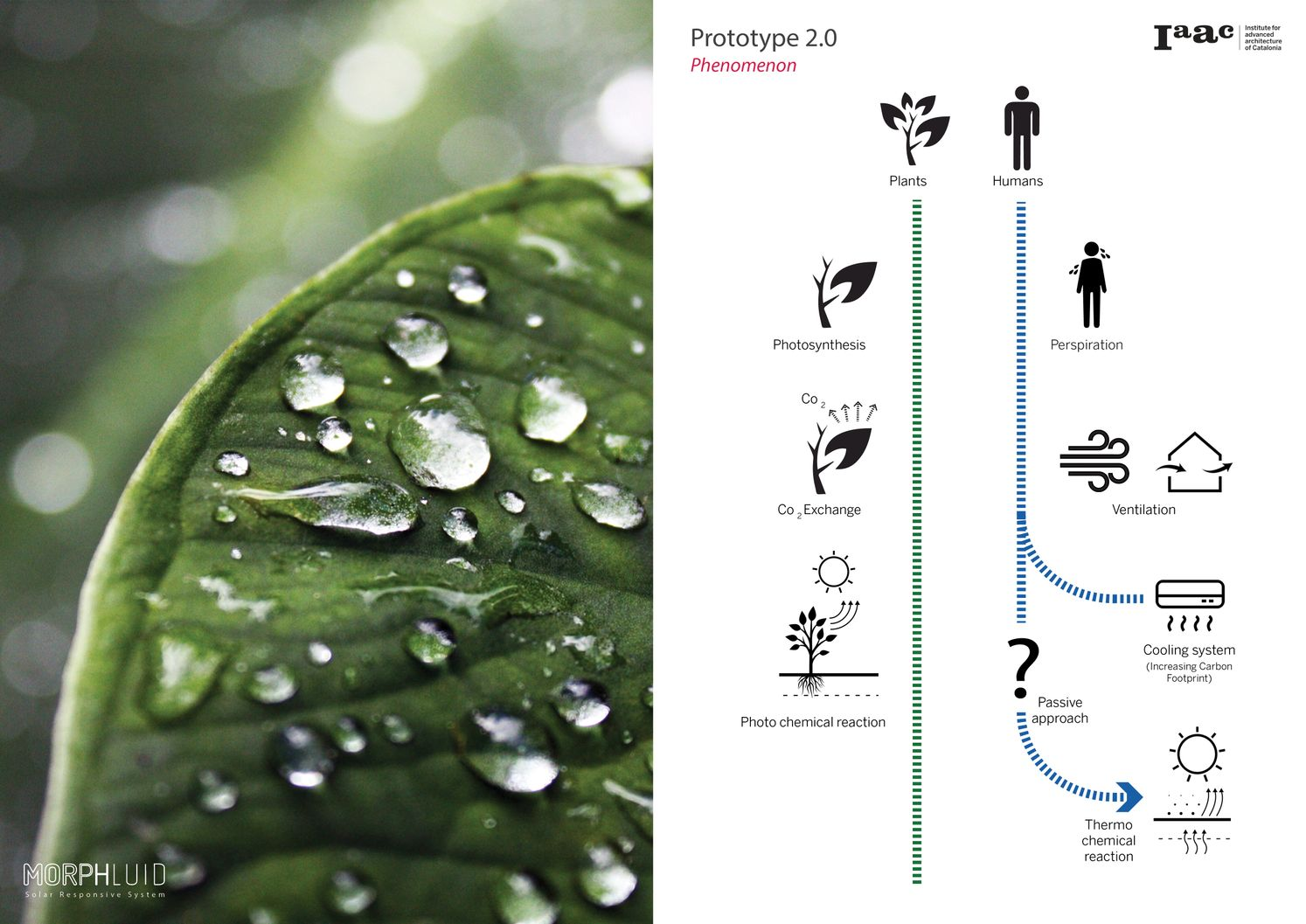 Biomimetic inspiration drawn from natural transpiration and fluid-based cooling systems.