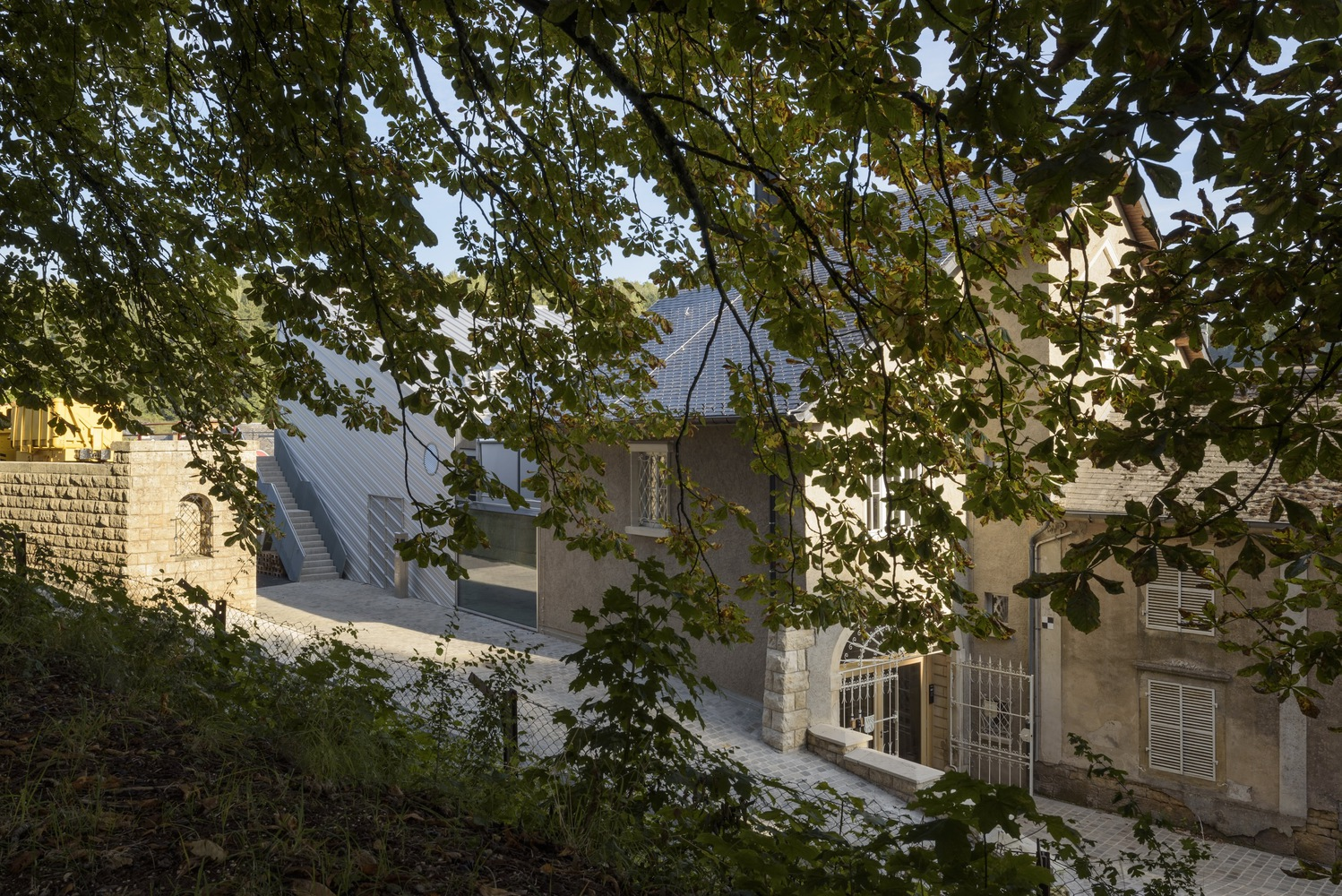 View through tree canopy of ribbed metal roof insertion between traditional masonry buildings at dusk