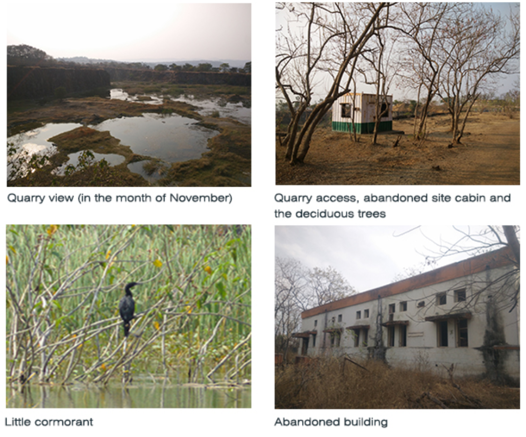 Degraded quarry landscape and abandoned structures awaiting ecological restoration.