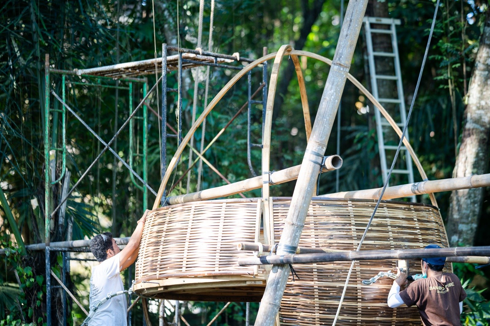 IBUKU's bamboo architecture demonstrates the material's capacity for sophisticated design