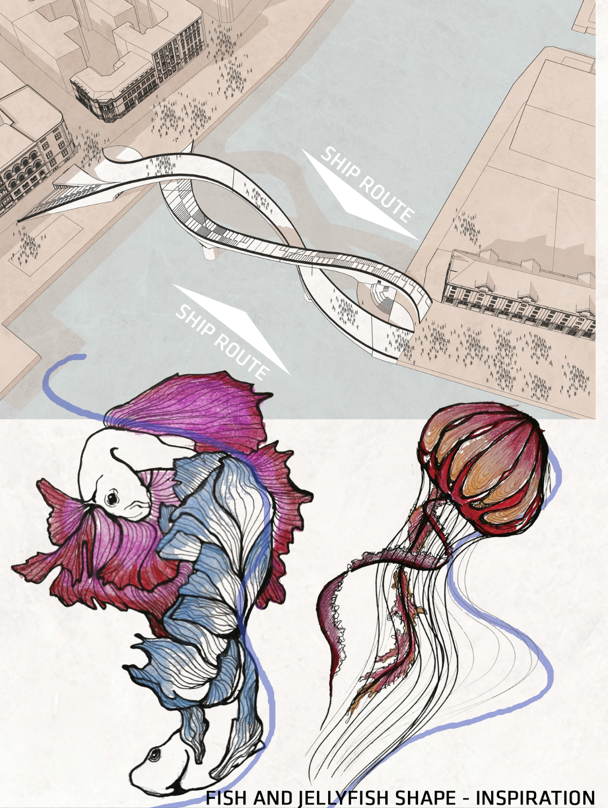 Fish and jellyfish forms shaping the biomorphic geometry of the bridge design.
