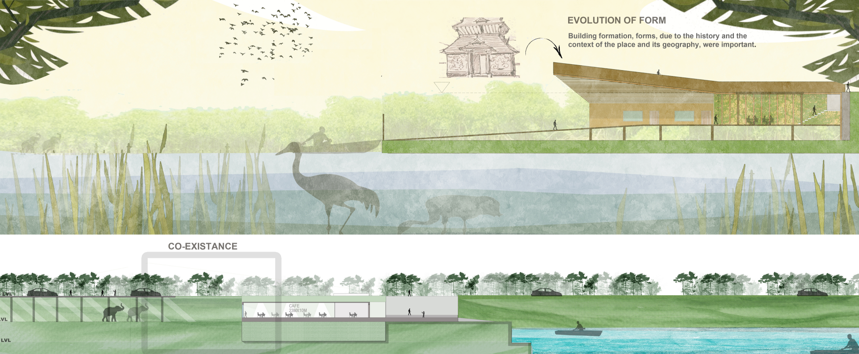 Sectional strategy illustrating layered built-unbuilt relationships and cross-species spatial thresholds.