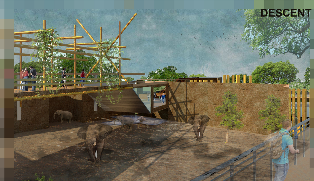 Elevated walkways guiding visitors through immersive learning within a protected ecological setting.