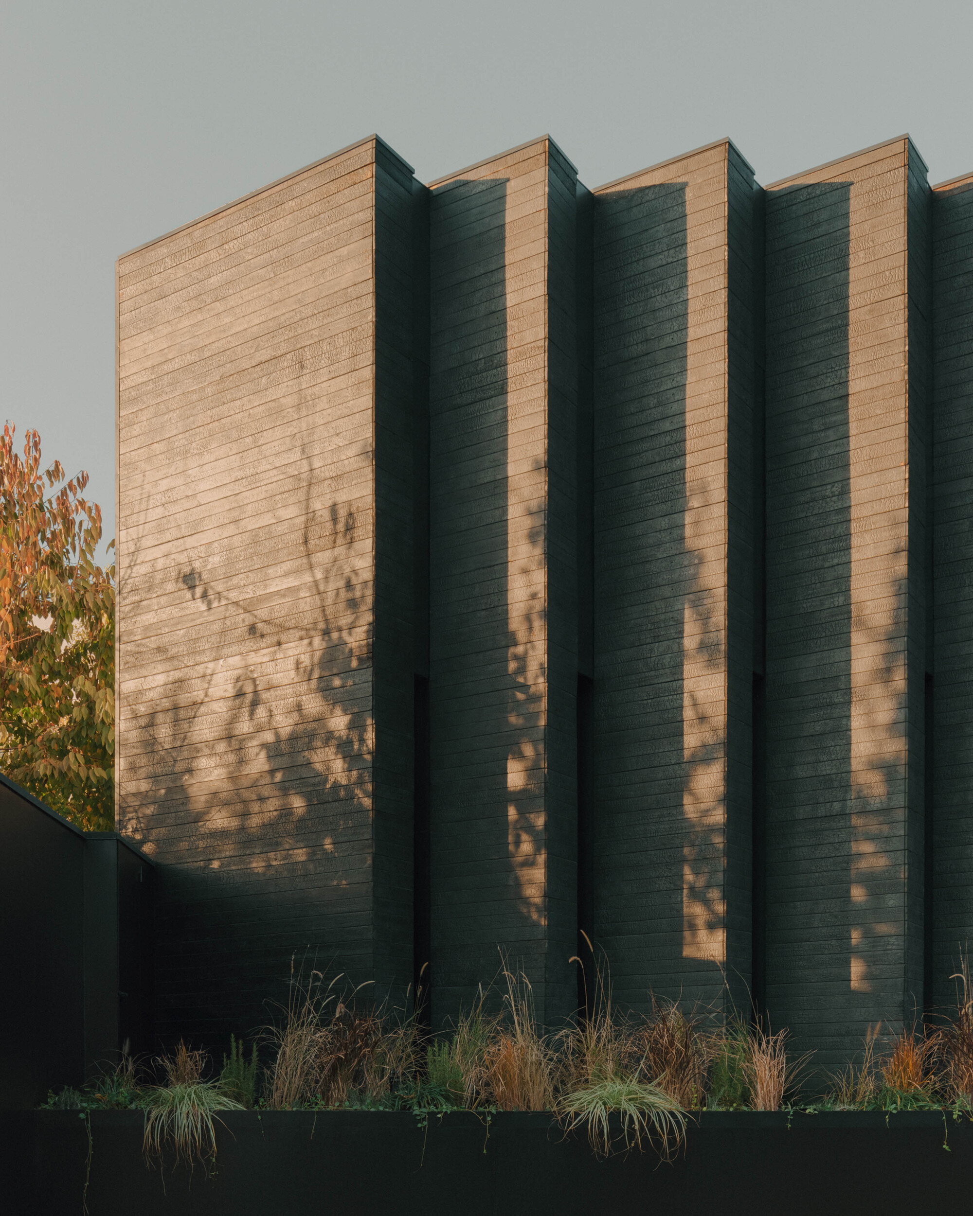 Sawtooth timber facade with alternating light and shadow planes at golden hour above planted bed