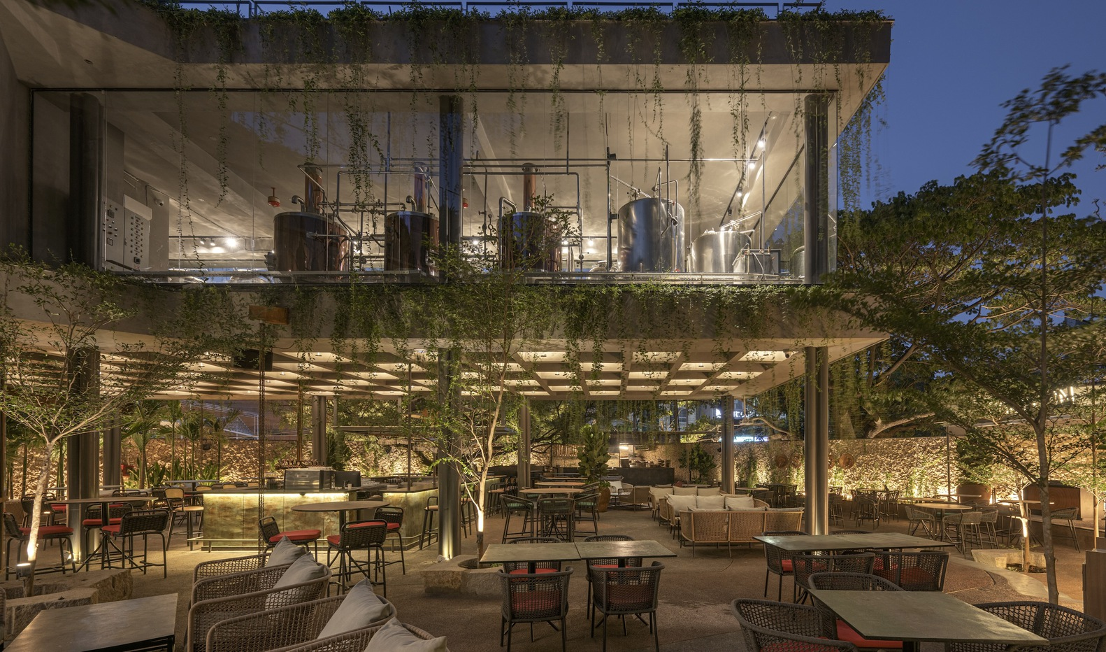 Evening view of two-level terrace with planted rooftop parapet and dining seating below