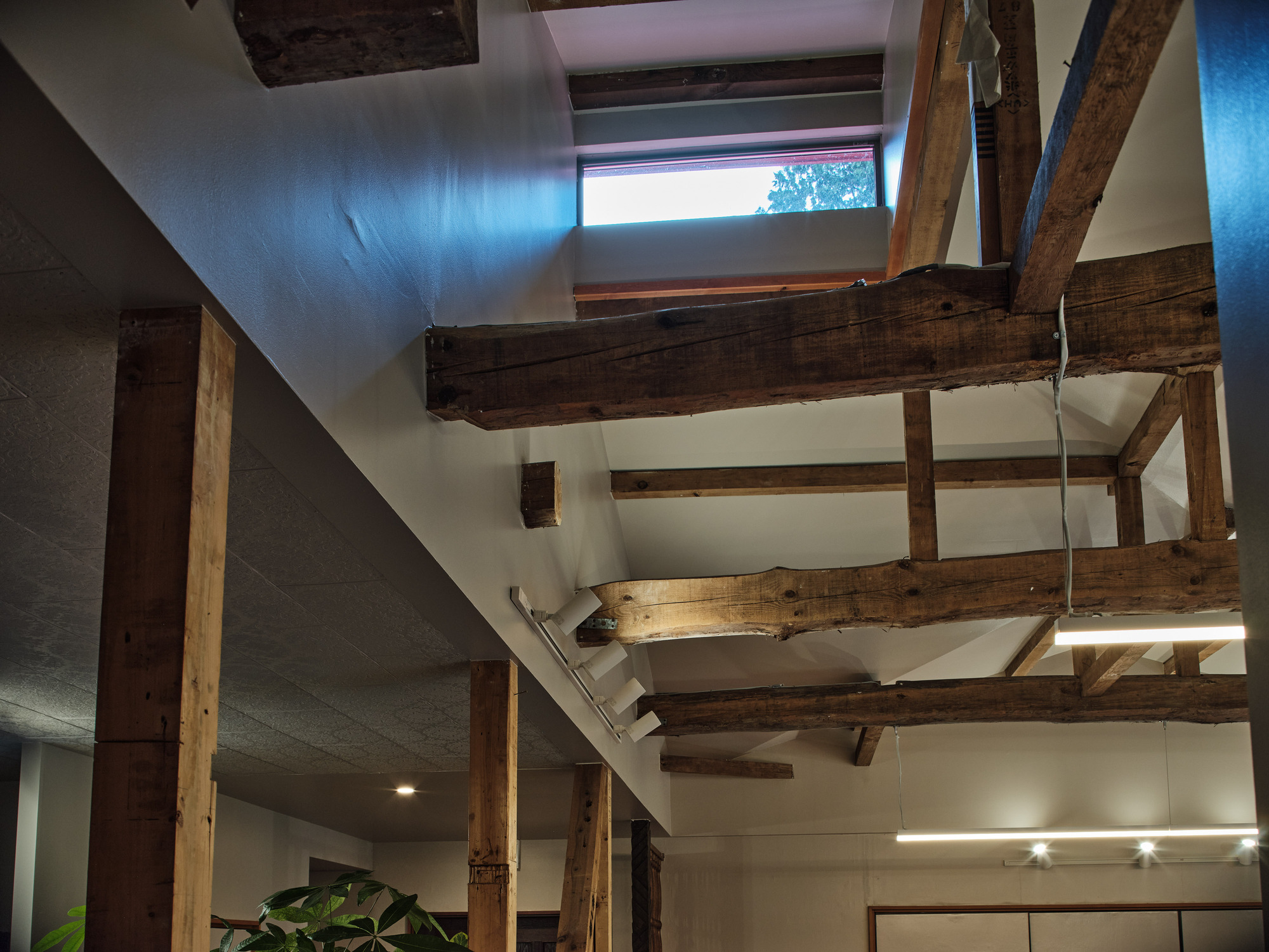 Vaulted ceiling detail with exposed timber beams and clerestory window framing greenery beyond