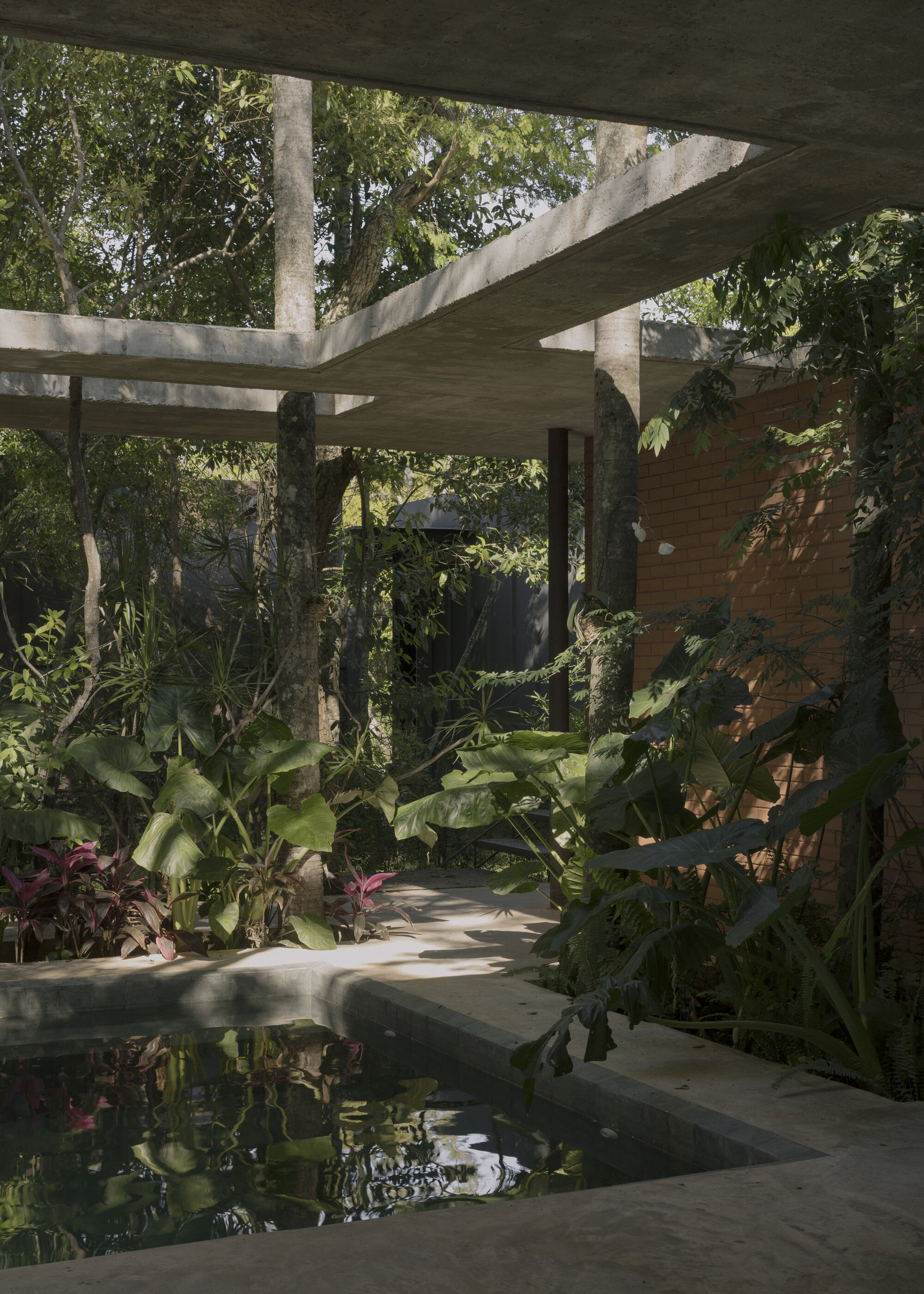 Curved reflecting pool with stepping stones winding through dense tropical vegetation under concrete beams