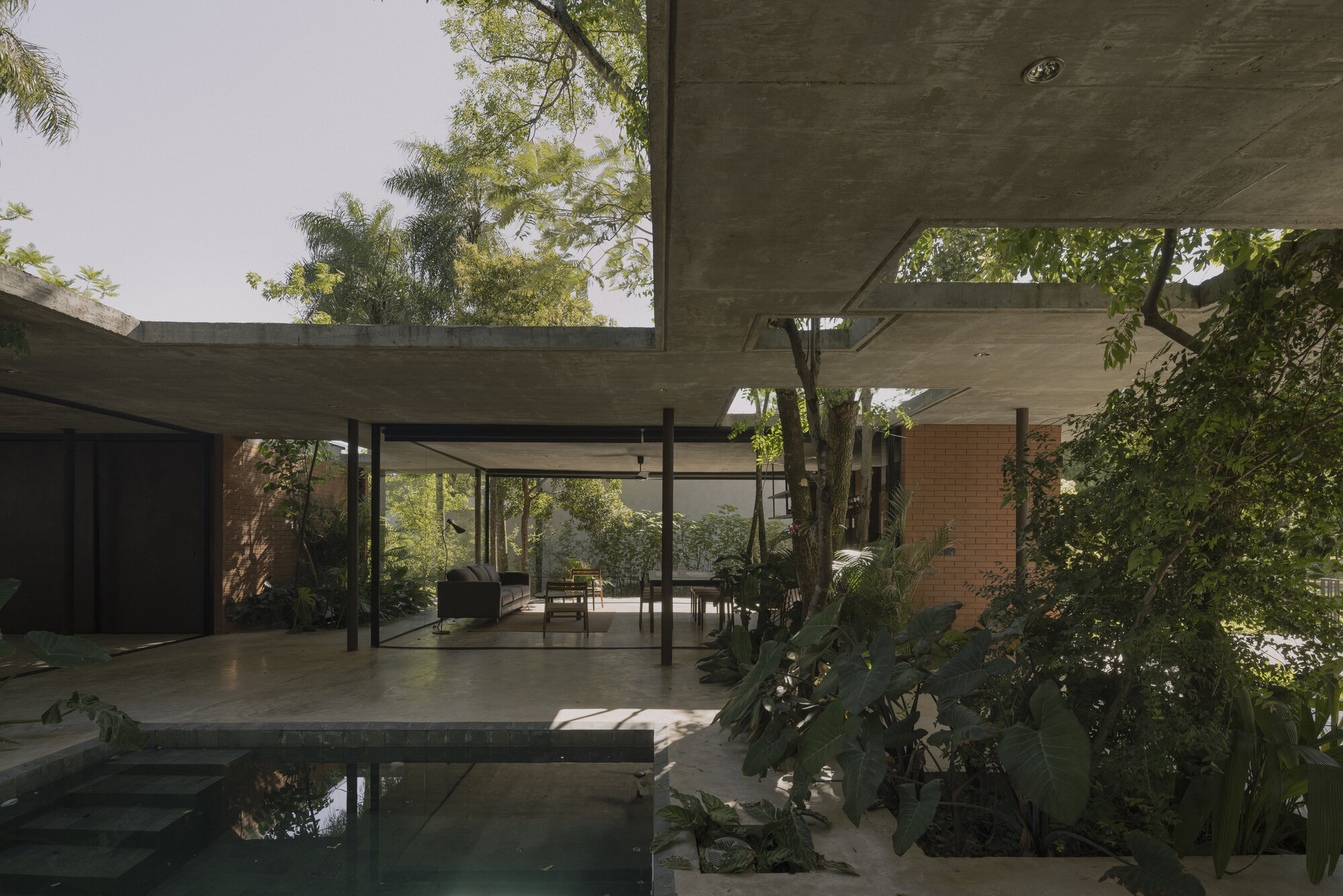 Poolside terrace beneath concrete overhangs with trees growing through openings in the slab structure