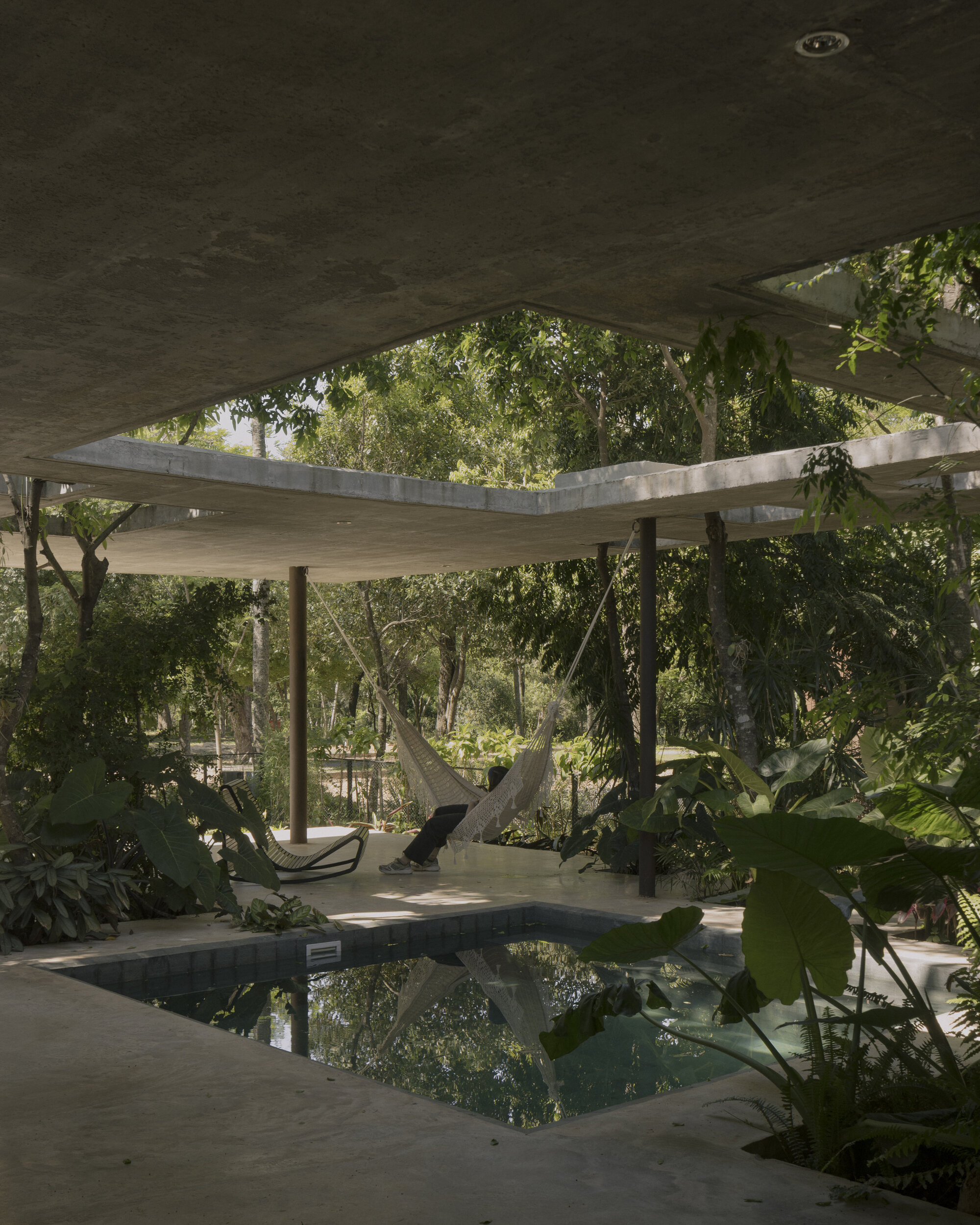 Concrete platform with rectangular pool and hammock beneath cantilevered roof surrounded by dense jungle vegetation