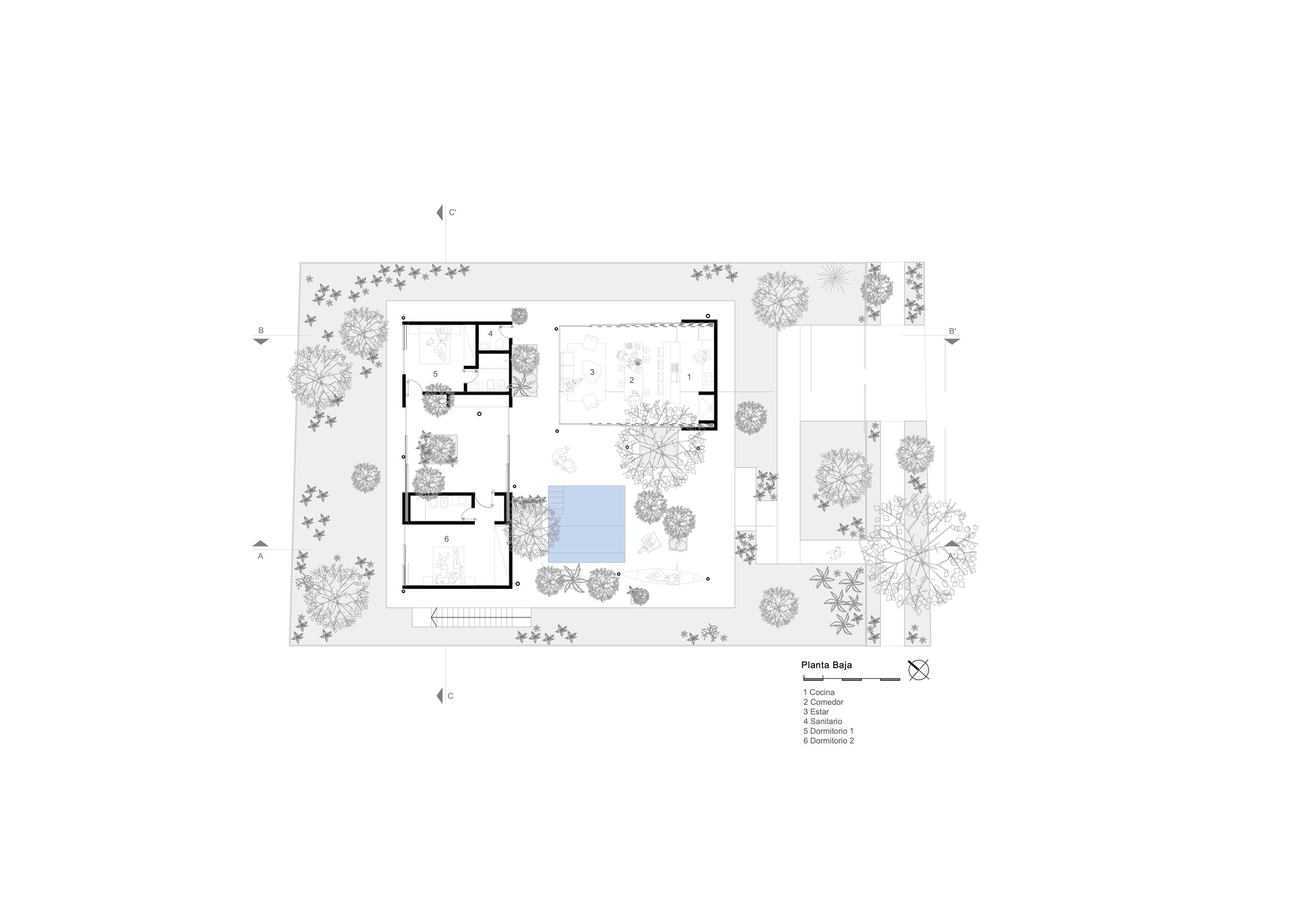 Site plan drawing showing two rectangular volumes with a central pool amid scattered trees and groundcover