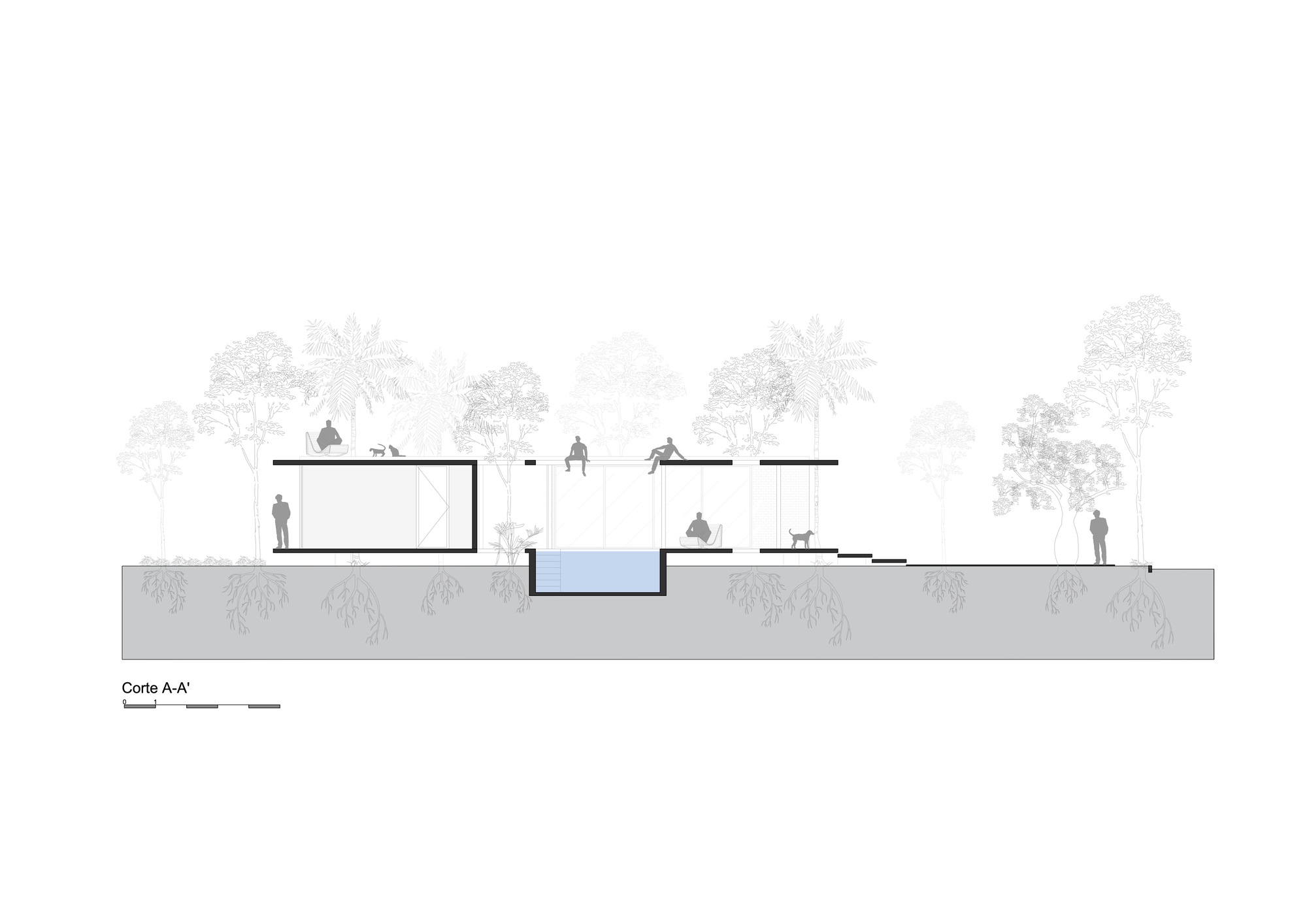 Section drawing illustrating sunken courtyard with pool and flat-roofed pavilions among palm and deciduous trees