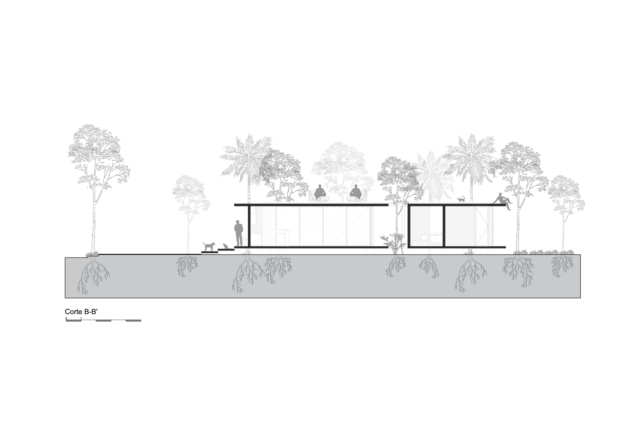 Section drawing showing two linked pavilions with flat roofs and glazed walls set in a planted landscape