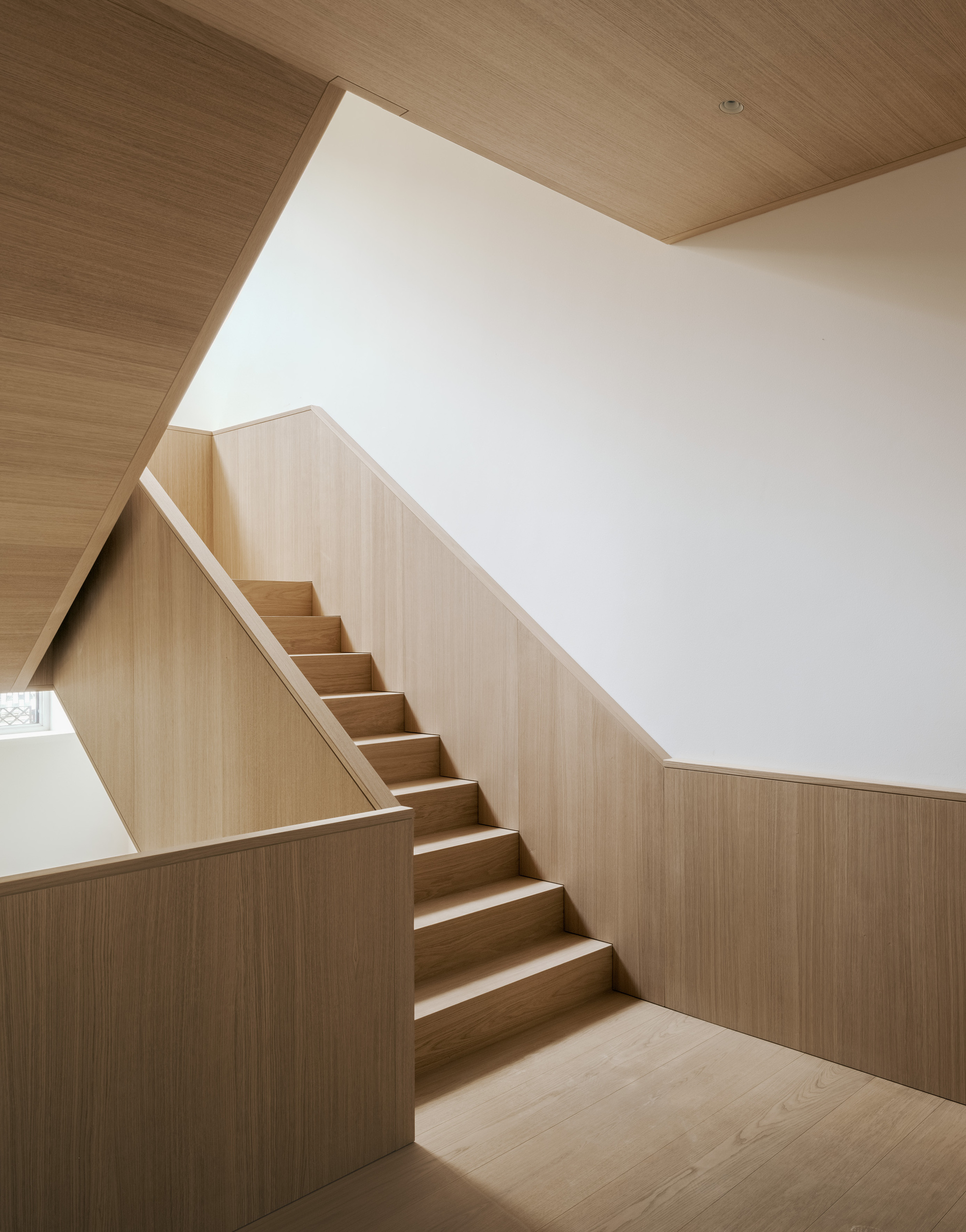 Timber-clad stairwell with light wood paneling on walls and ceiling illuminated by natural light