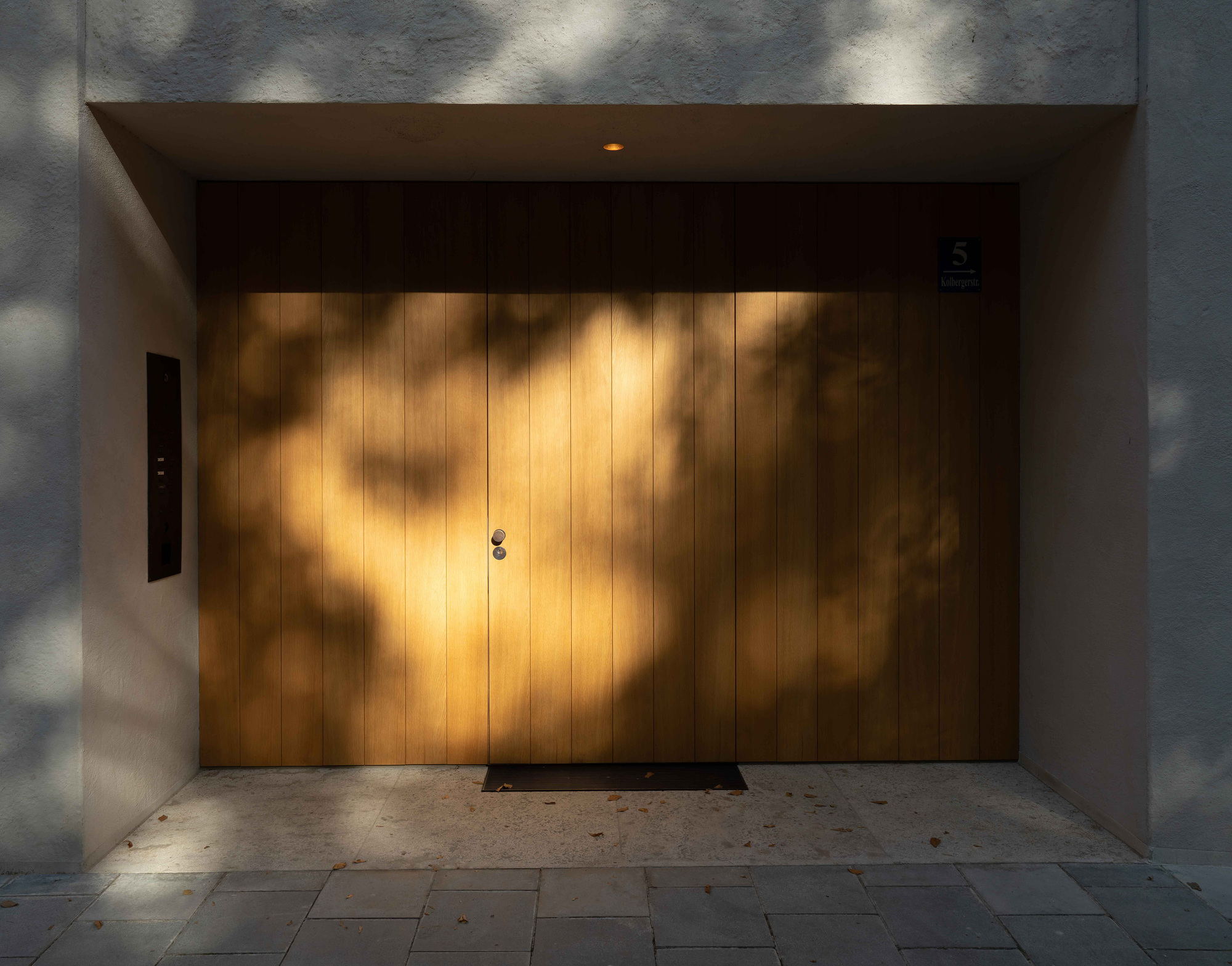 Recessed entrance with vertical timber door panels dappled by leaf shadows in afternoon sun
