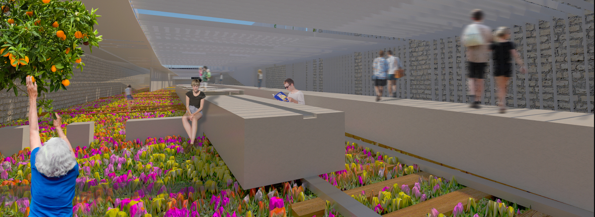 Light, structure, and landscape merge into an immersive public experience.