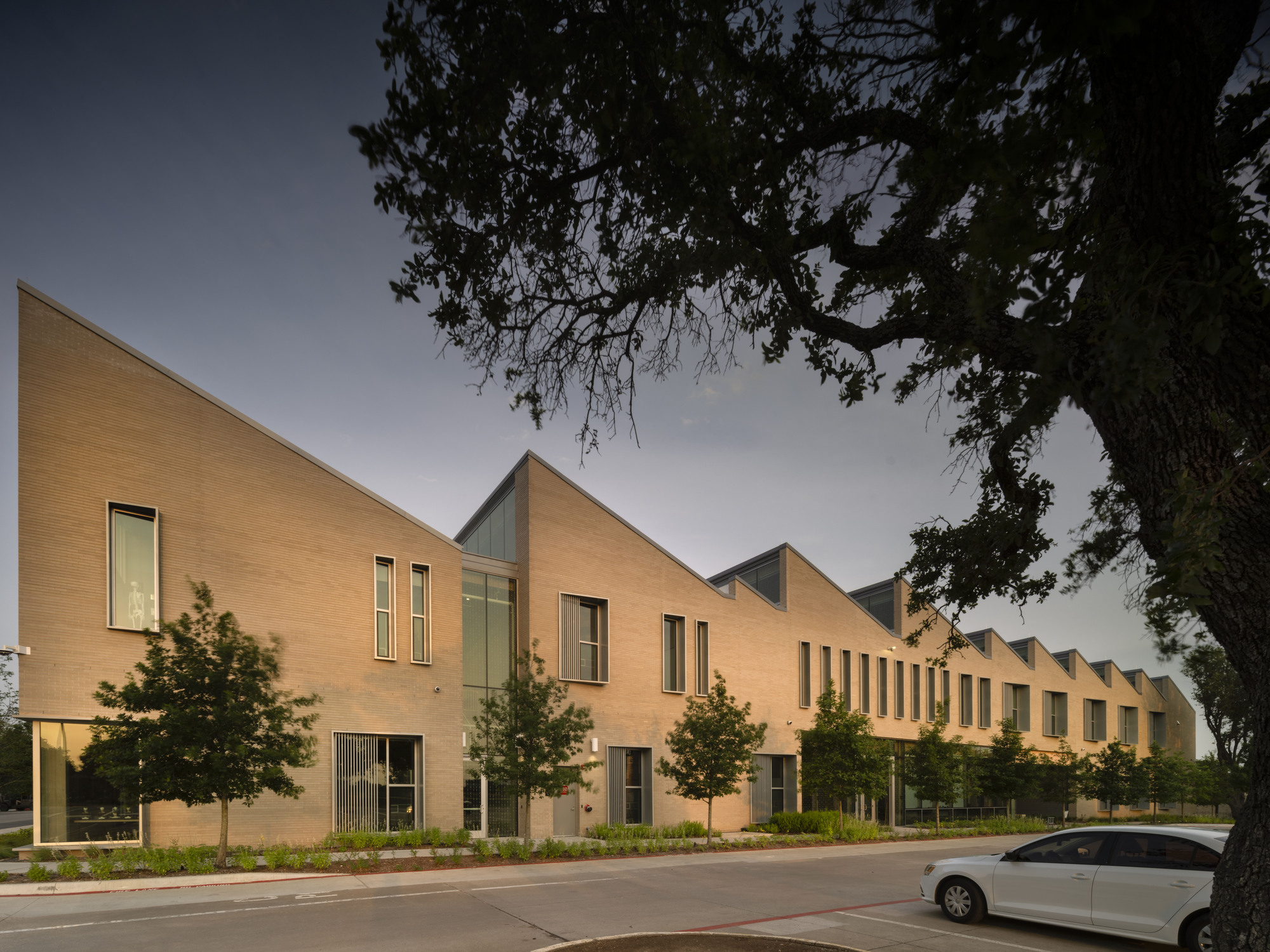 Long facade with repeating sawtooth roof peaks framed by oak tree branches at twilight