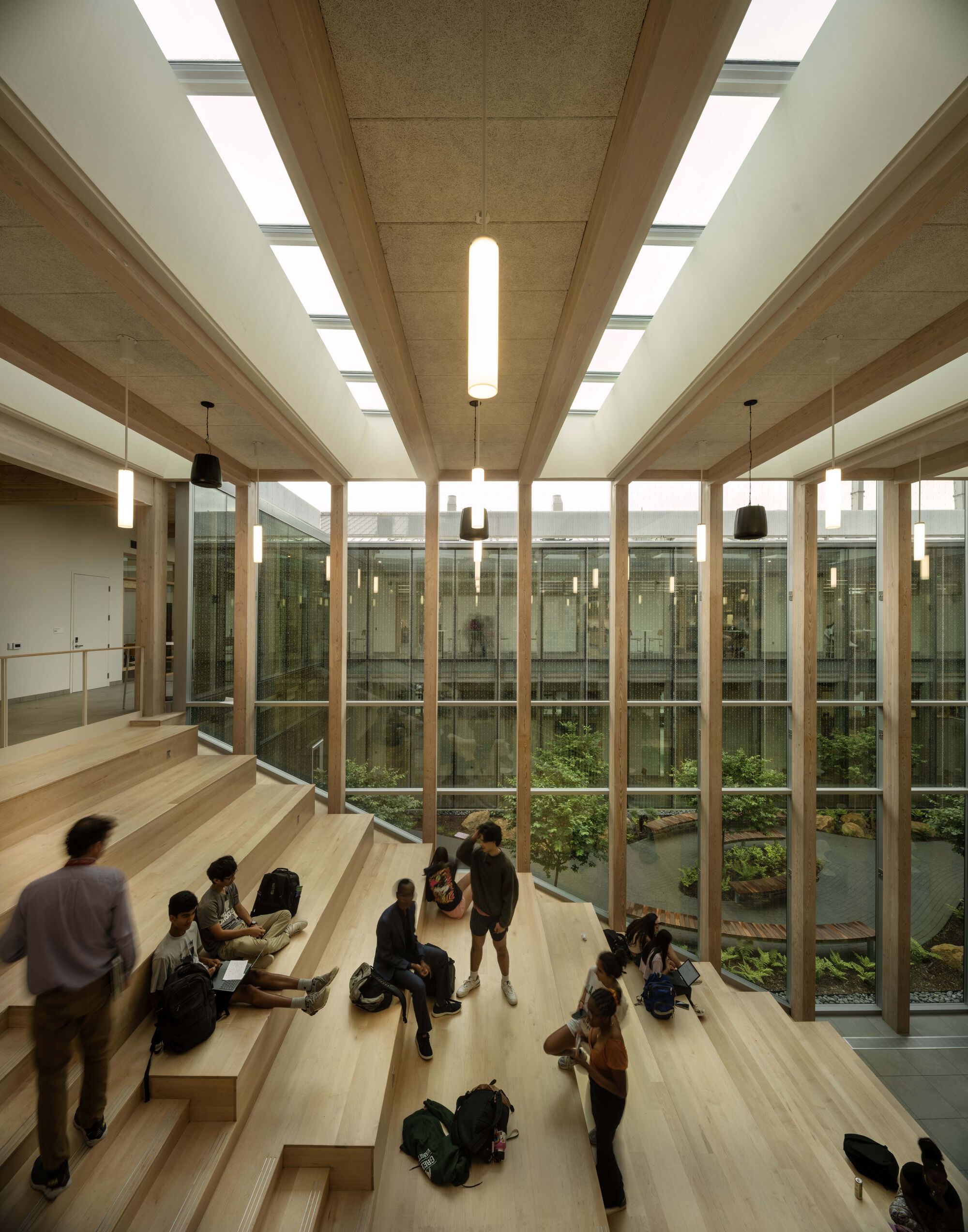 Interior seating area with angled timber benches facing a glazed courtyard with planted greenery below