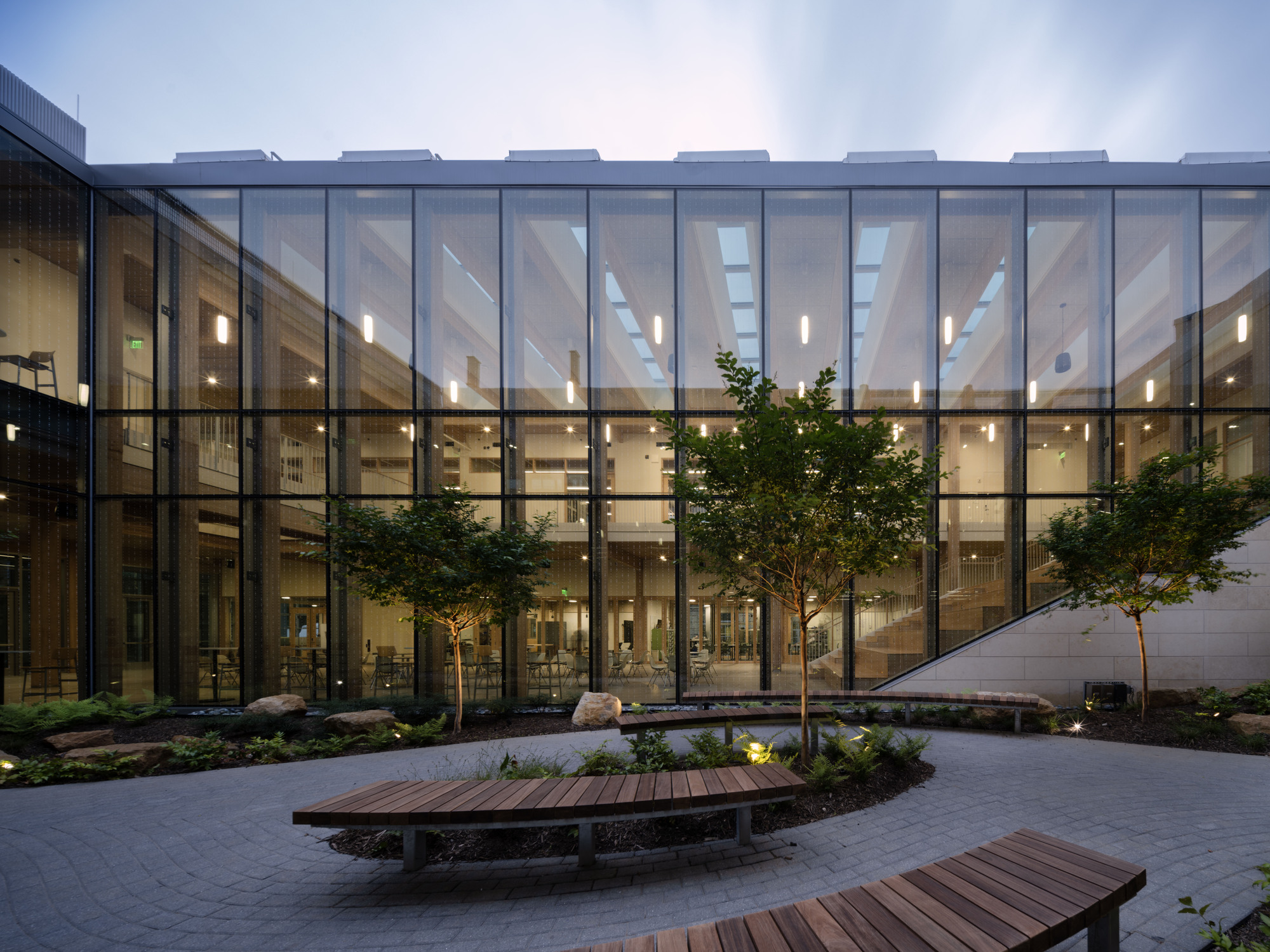 Interior courtyard with timber benches and planted trees framed by the glazed facade at twilight