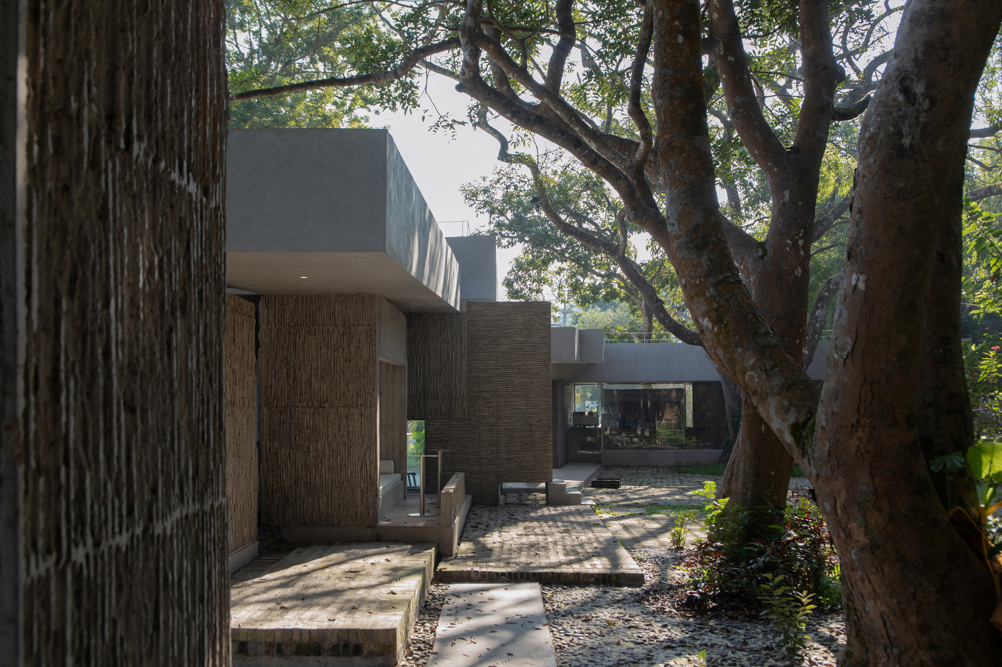 Pathway through the courtyard framed by tree trunks, concrete overhangs, and dappled sunlight on brick pavers