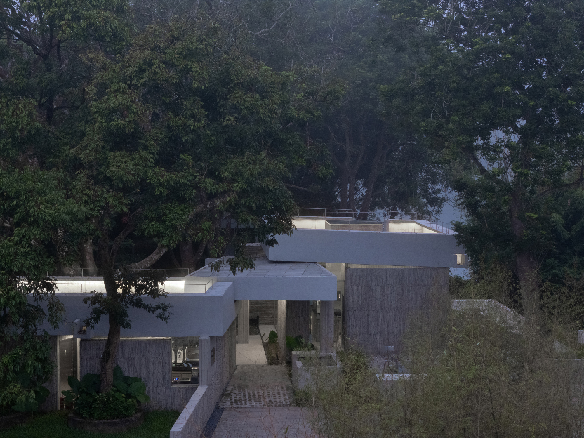 Elevated view of stepped concrete volumes nestled within dense tree canopy at twilight