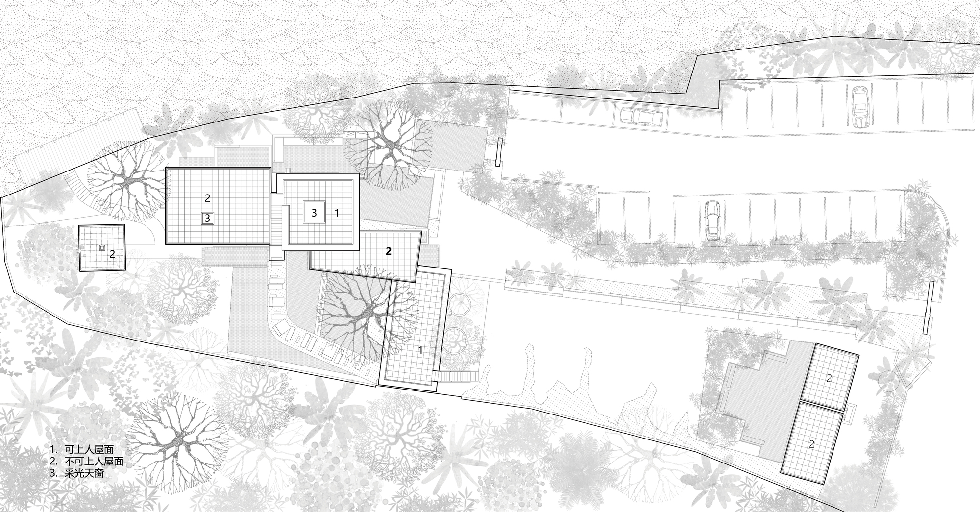 Roof plan drawing depicting multiple pavilions with grid skylights dispersed across the wooded site