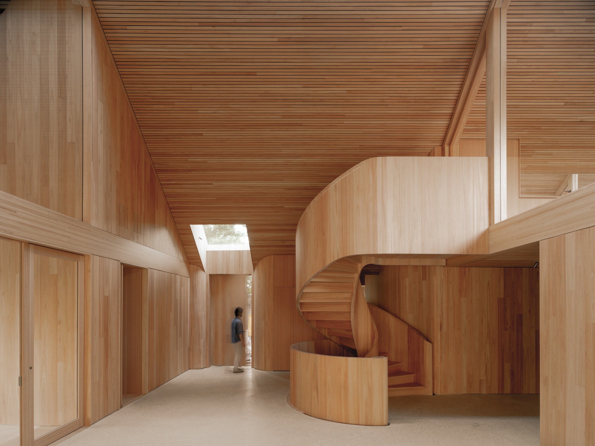Timber-lined entrance hall with skylight and curved wooden staircase wrapping around a cylindrical volume