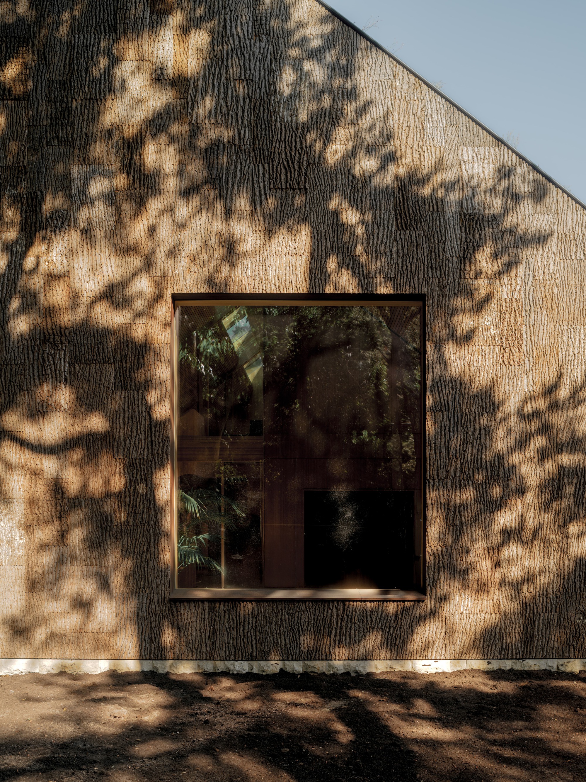 Charred timber facade with large window opening beneath dappled tree shadows in afternoon light