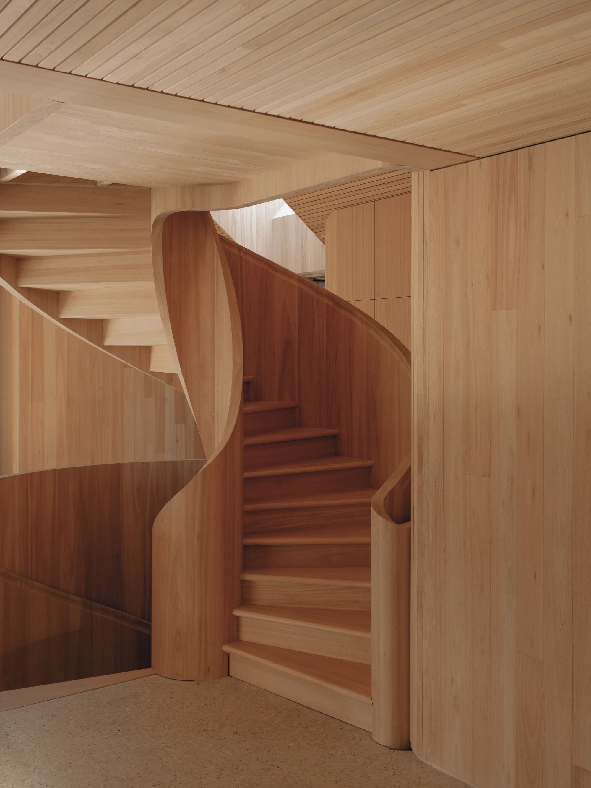 Curved timber staircase with integrated balustrade rising through a space with slatted wood ceiling and walls