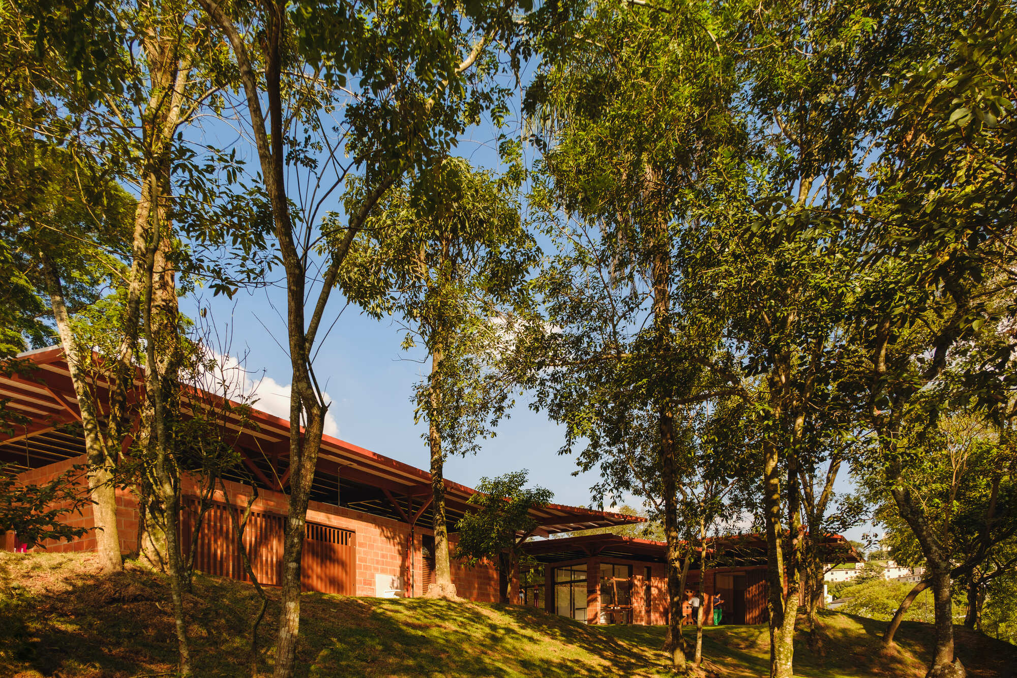 Terraced brick volumes with low-pitched roofs nestled into a hillside among mature trees