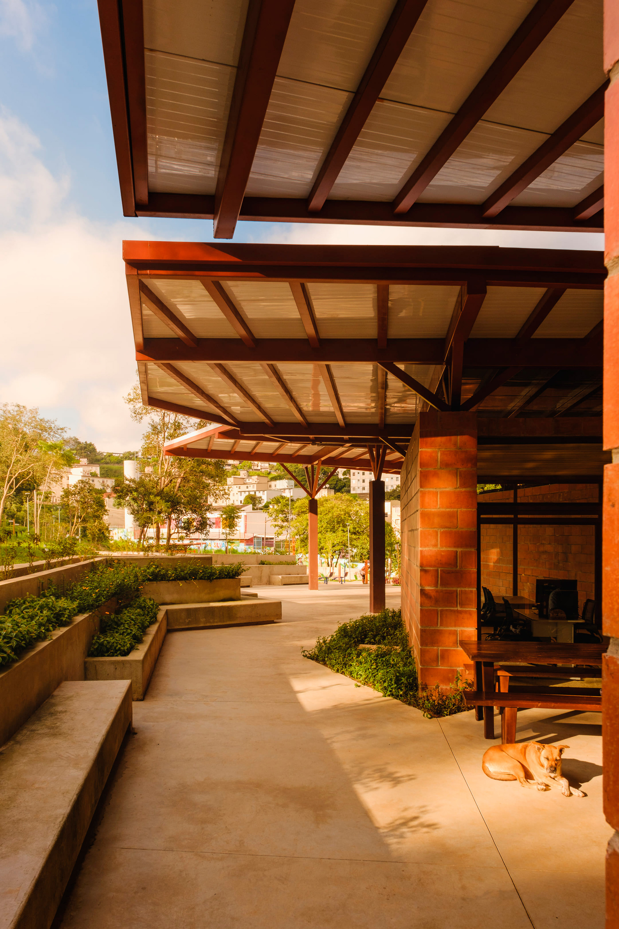 Covered walkway with timber beams and wood ceiling panels alongside planted beds in afternoon light