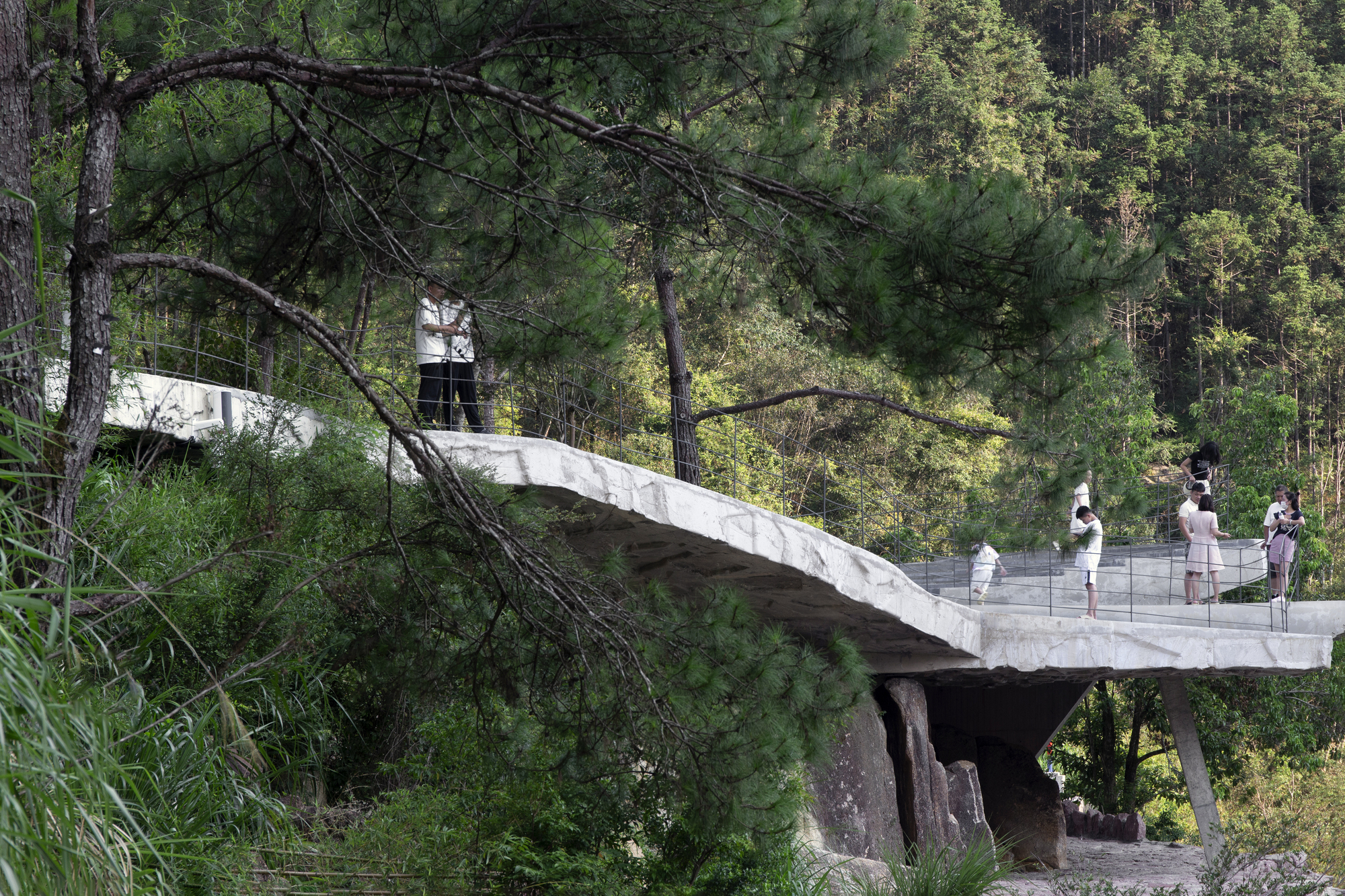 Concrete pedestrian bridge with wire mesh railing extending through pine forest with visitors crossing