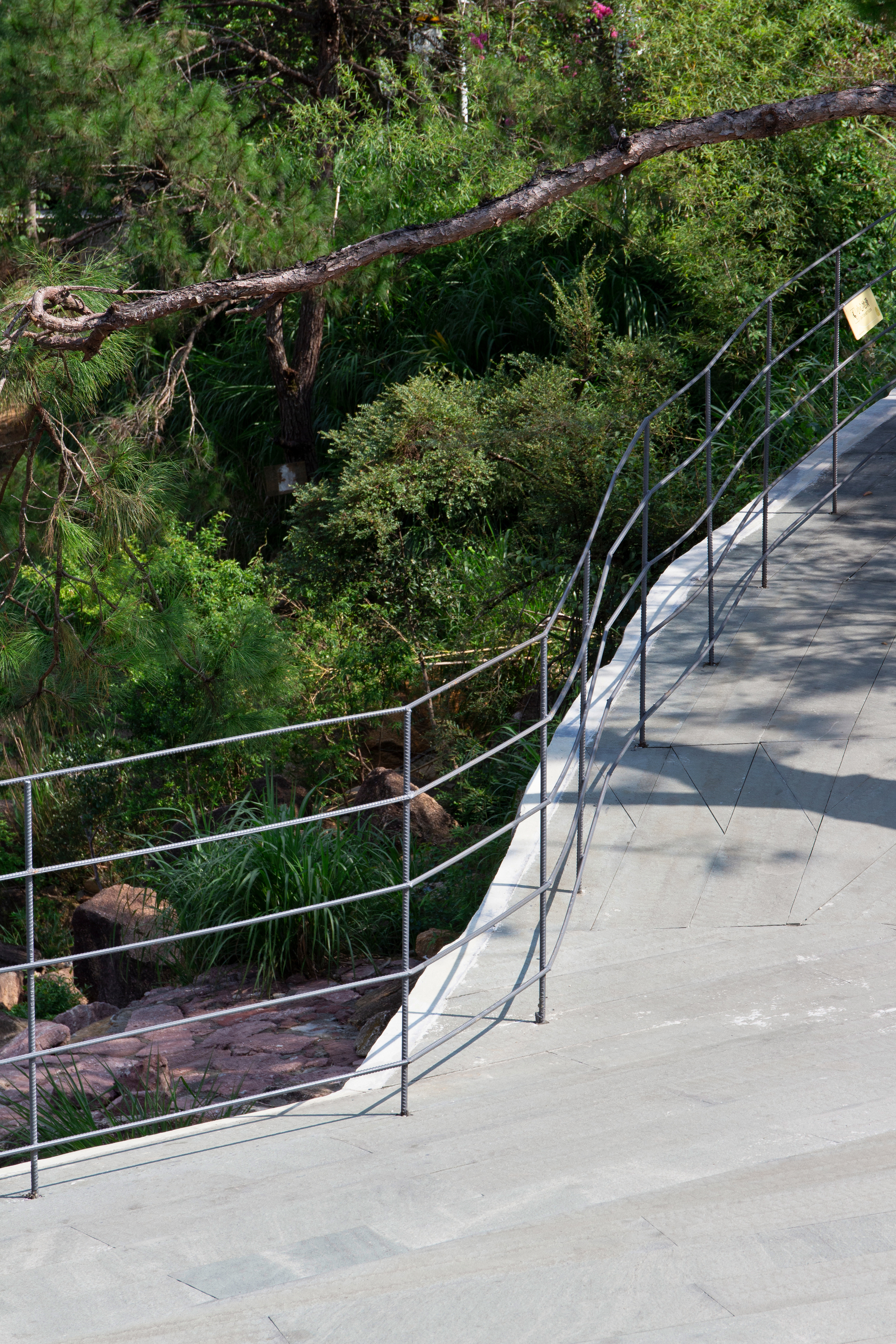 Curving concrete walkway with steel cable railing descending through dense green foliage and a fallen tree