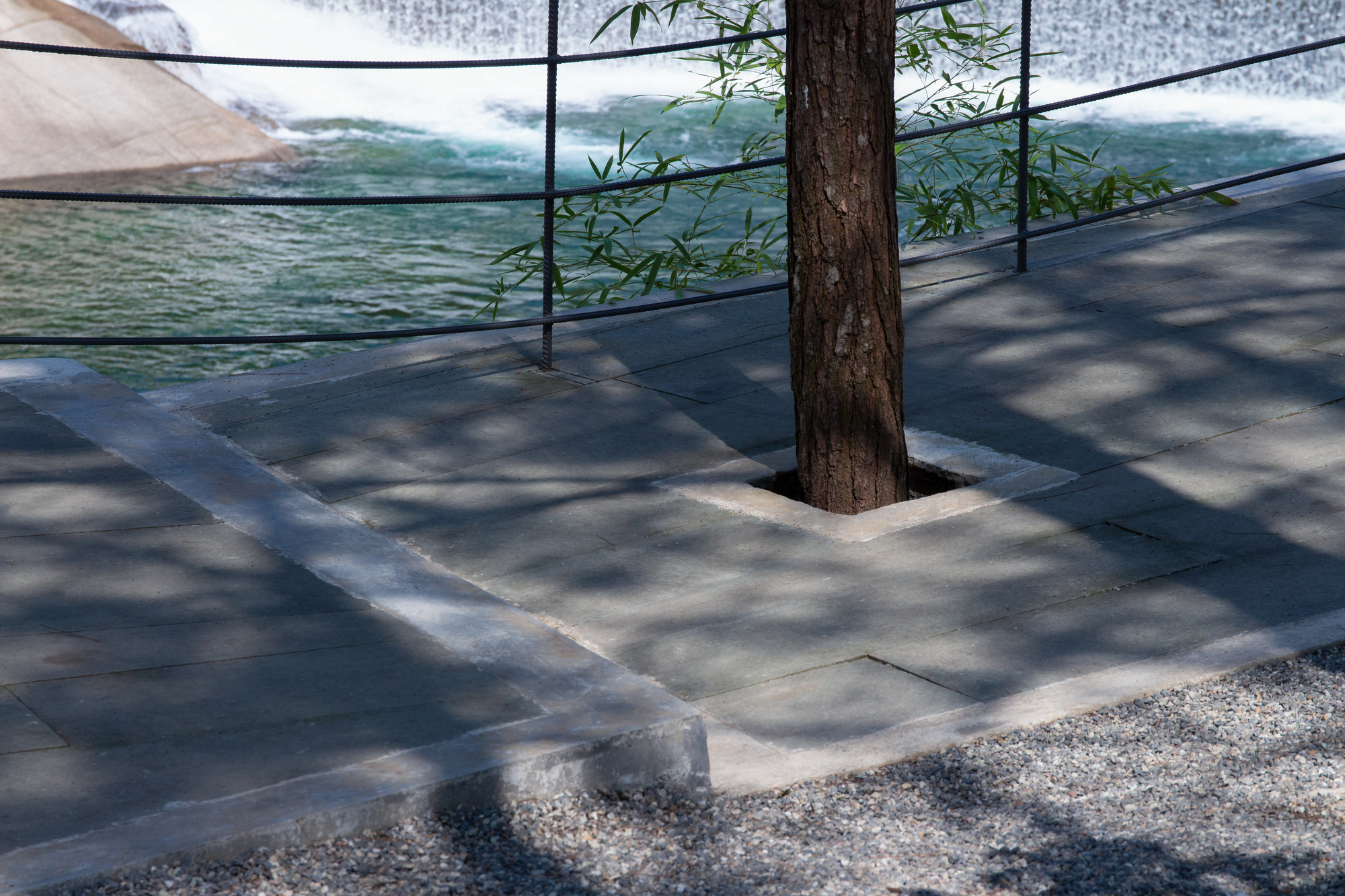 Tree trunk emerging through paving on the shaded walkway beside cable railing with rushing water visible beyond
